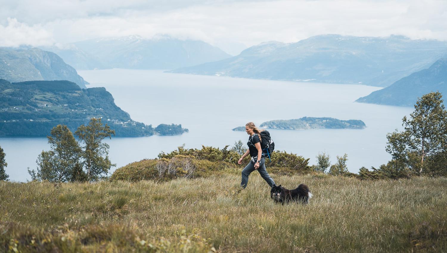 Woman and dog hiking in the mountains over the Hardangerfjord.