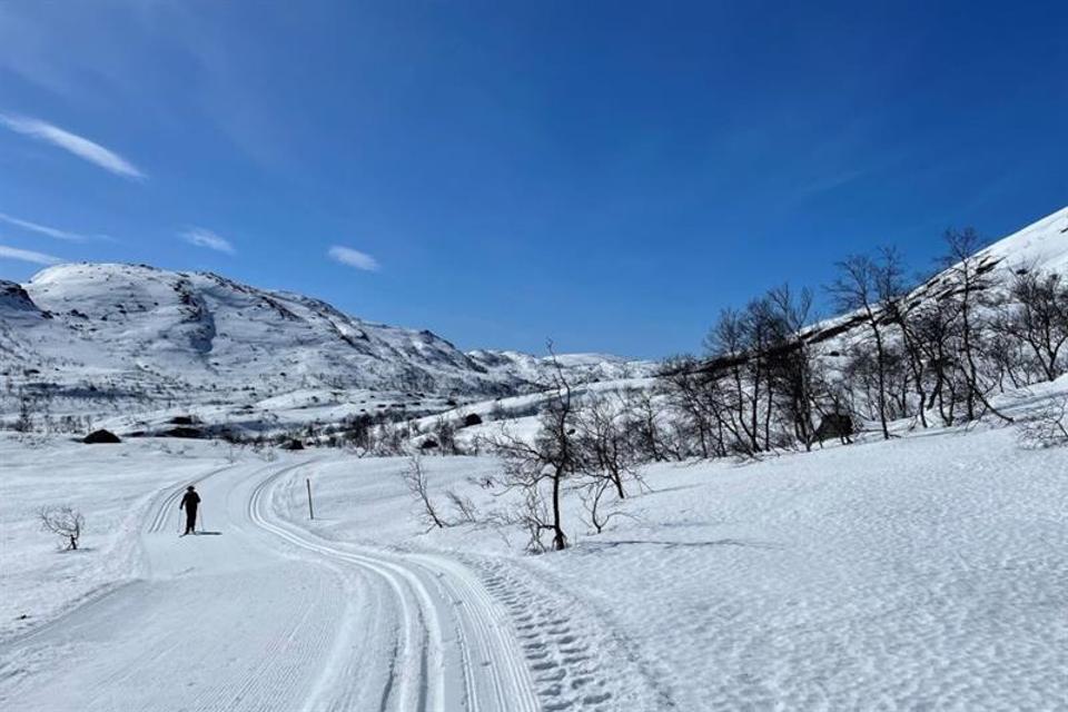 Sirdalslåmi Ski Race