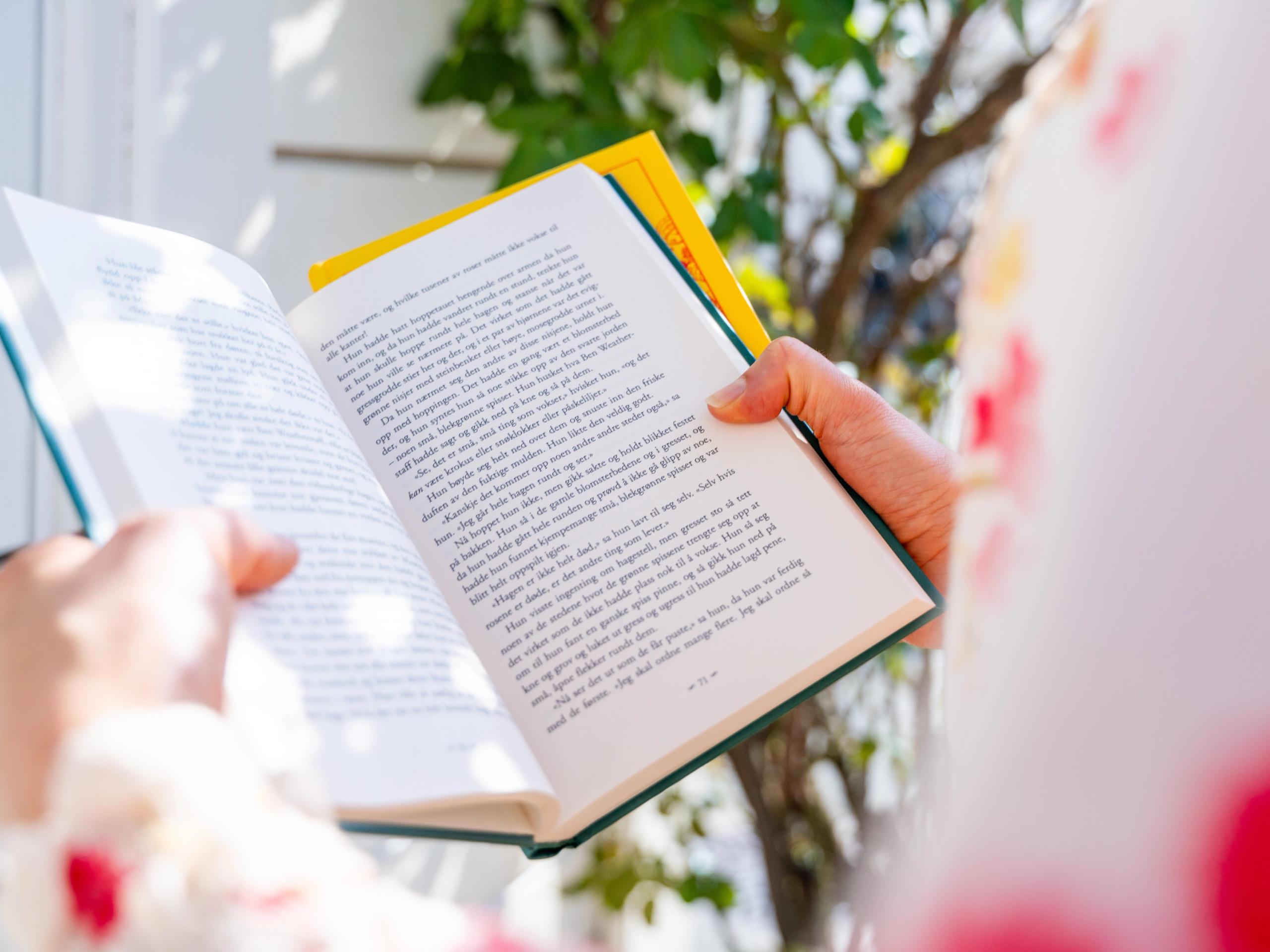 Reading a book in Tvedestrand