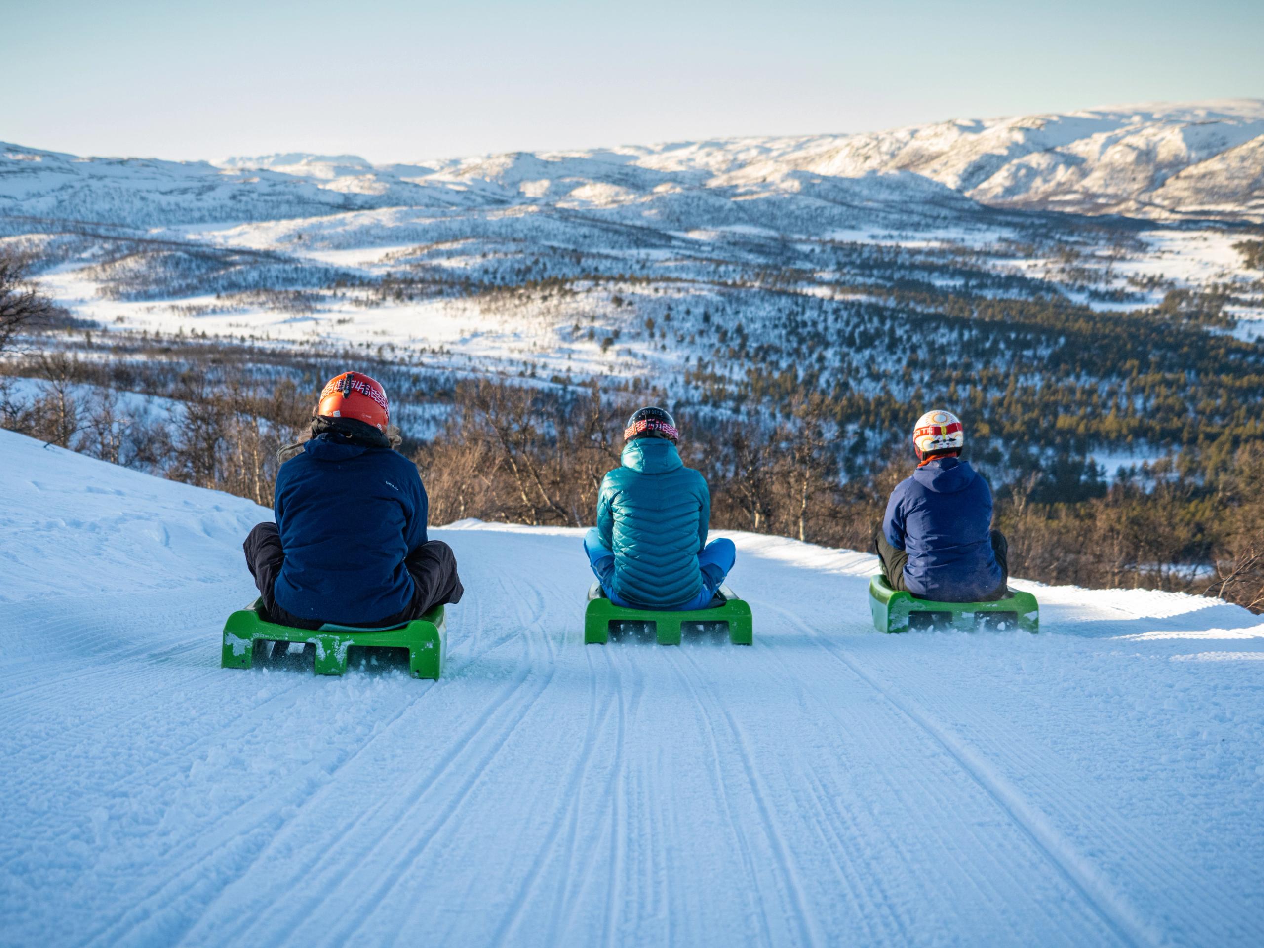 Vanner aker i Dagali Fjellpark, Hol, Norge.