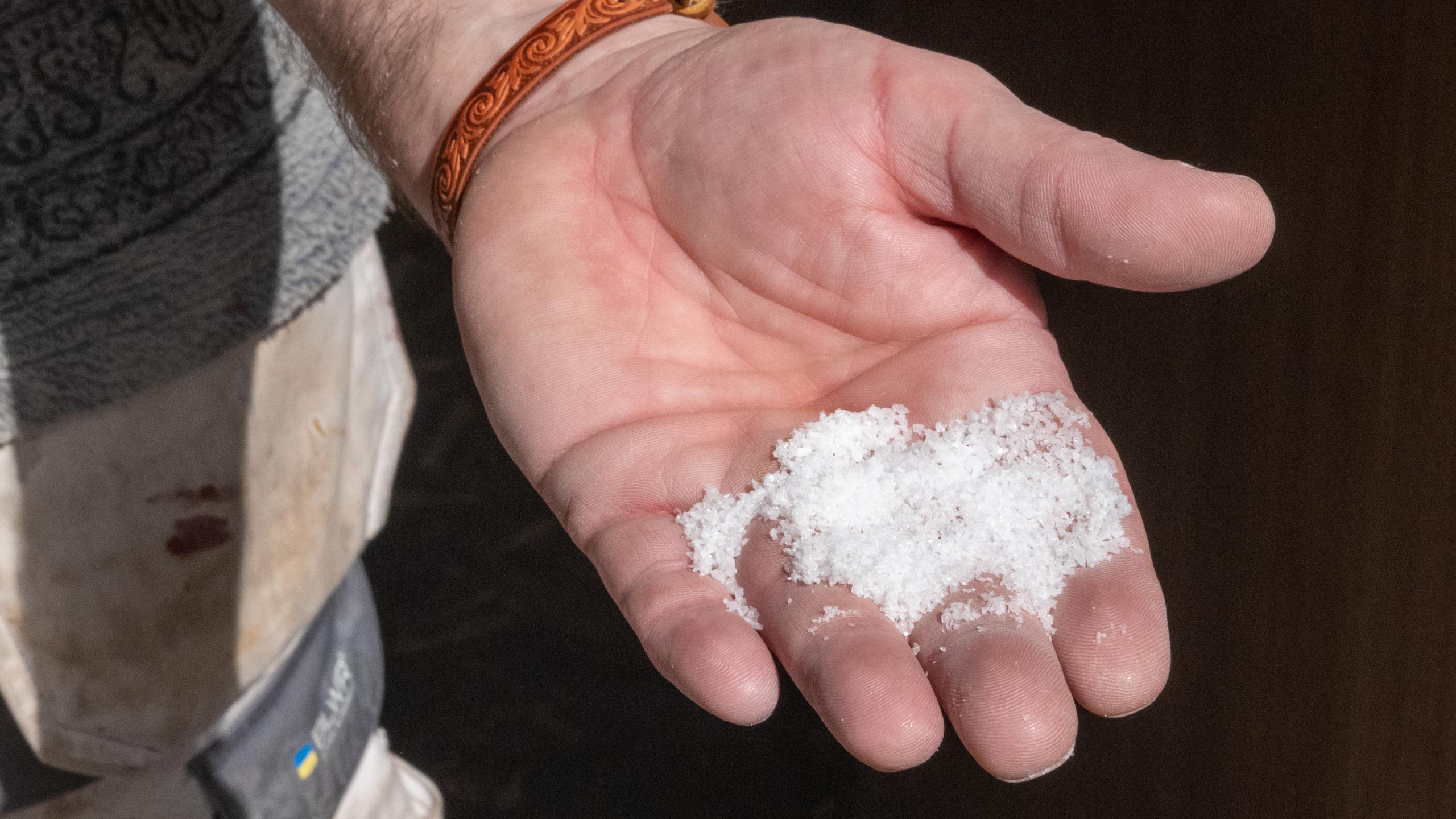 En hånd holder salt produsert av det salte sjøvannet i Saltstraumen utenfor Bodø, Nord-Norge.