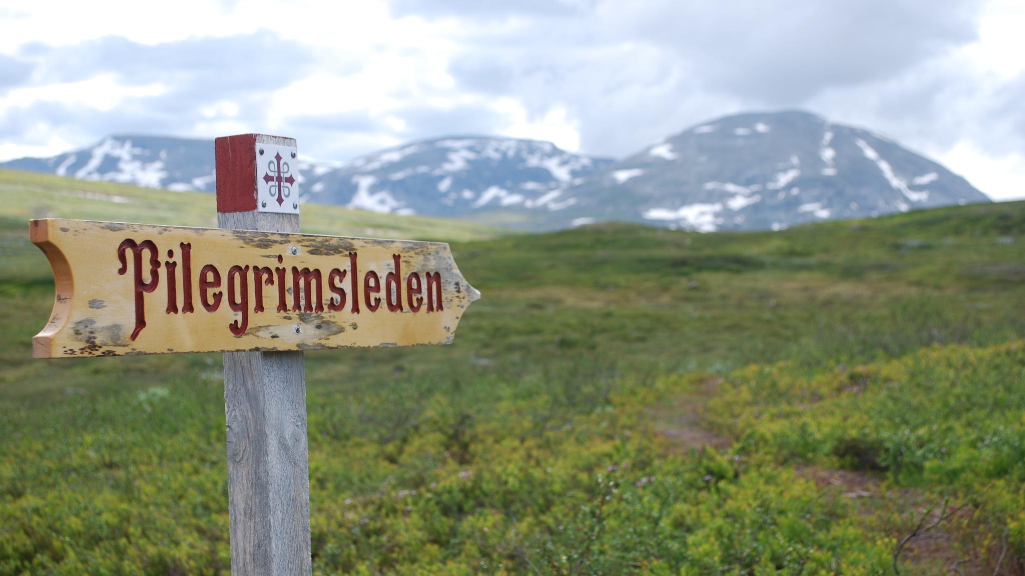 Pilegrimsleden