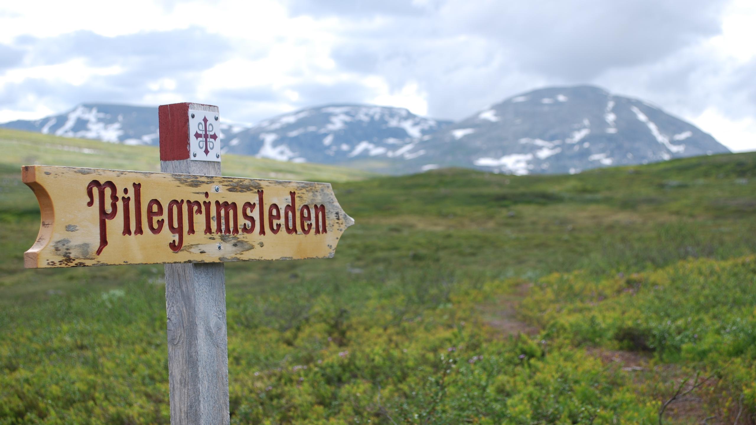 The Pilgrims Path