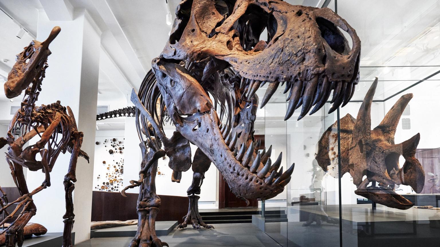 Top things to do in Oslo with kids