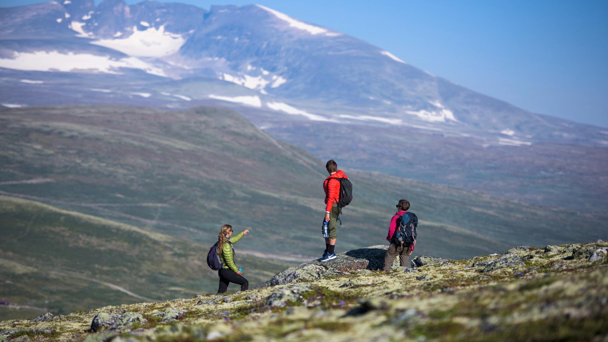 People hiking