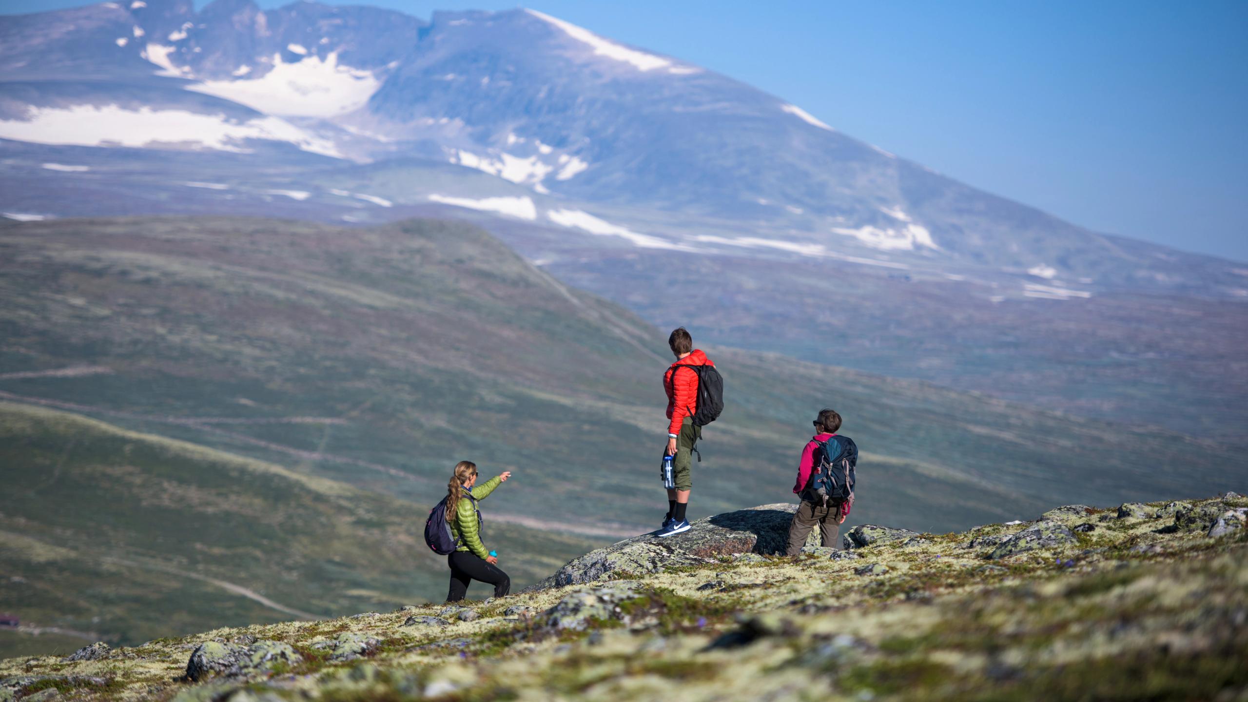 People hiking