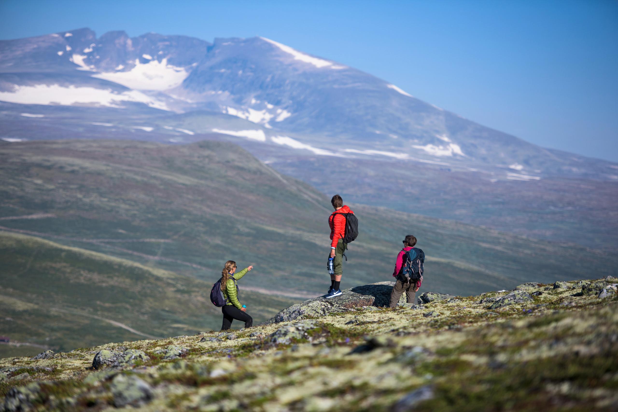 People hiking