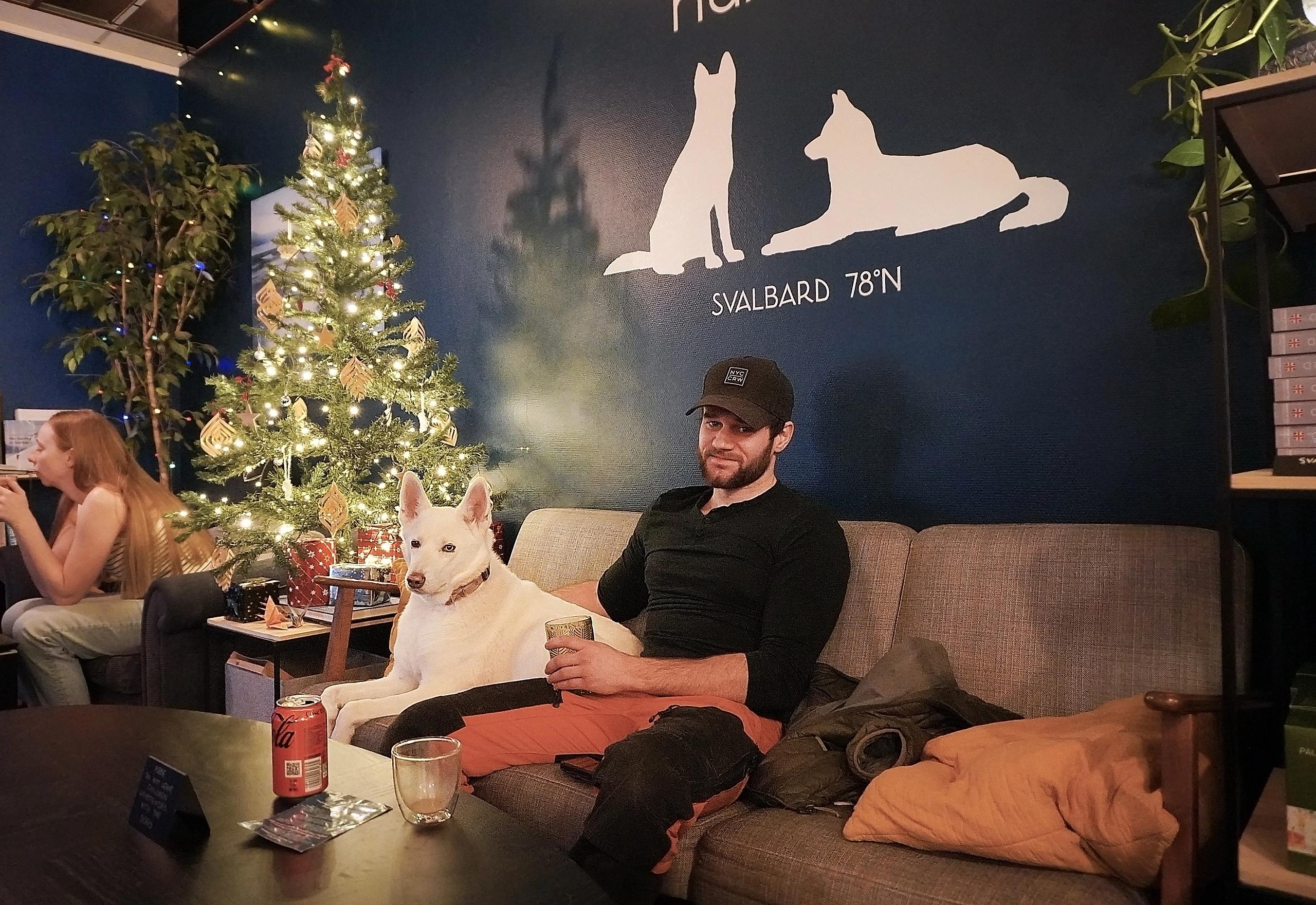 Husky i en sofa på en kafe