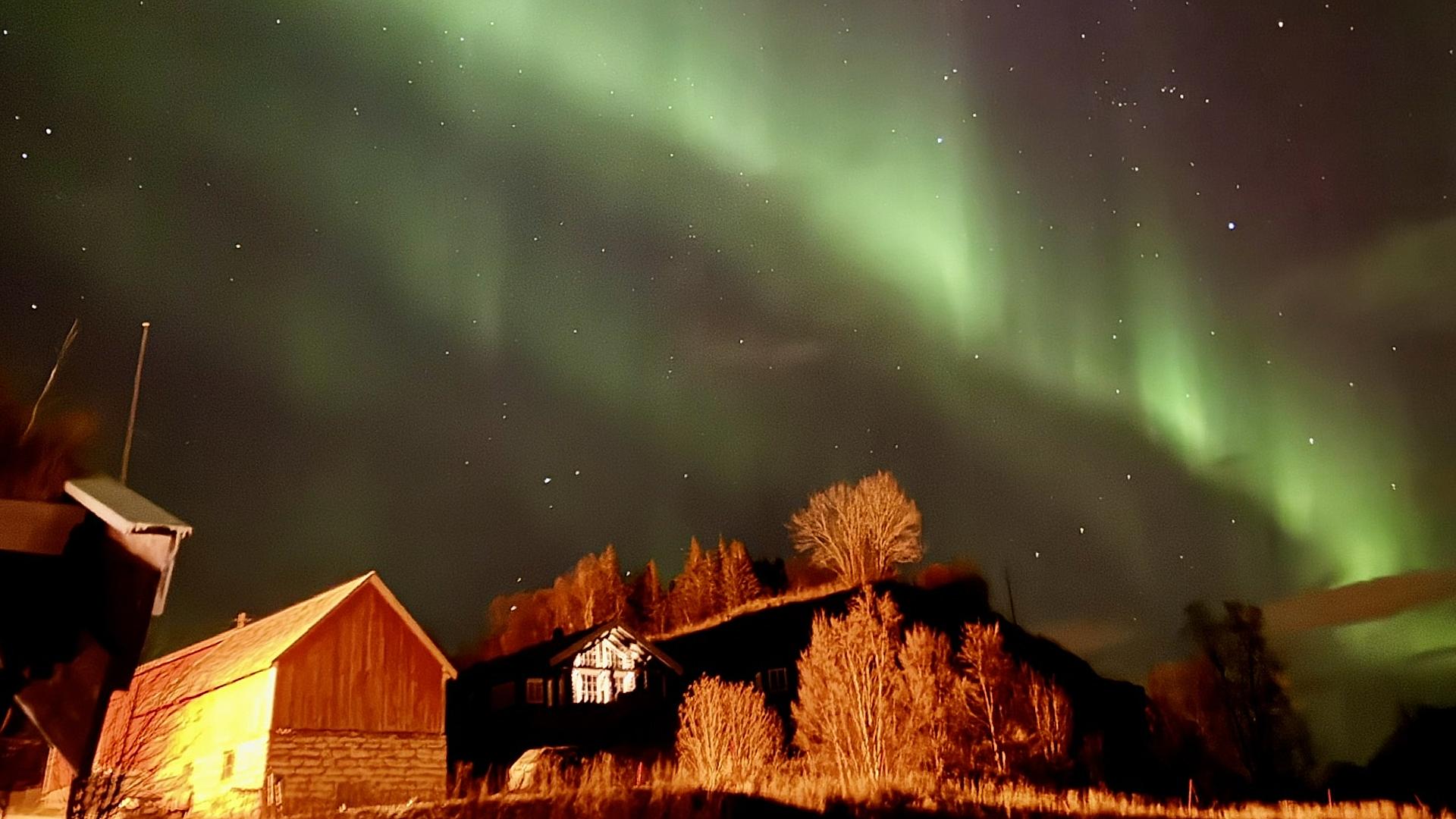 Northern lights over Senja
