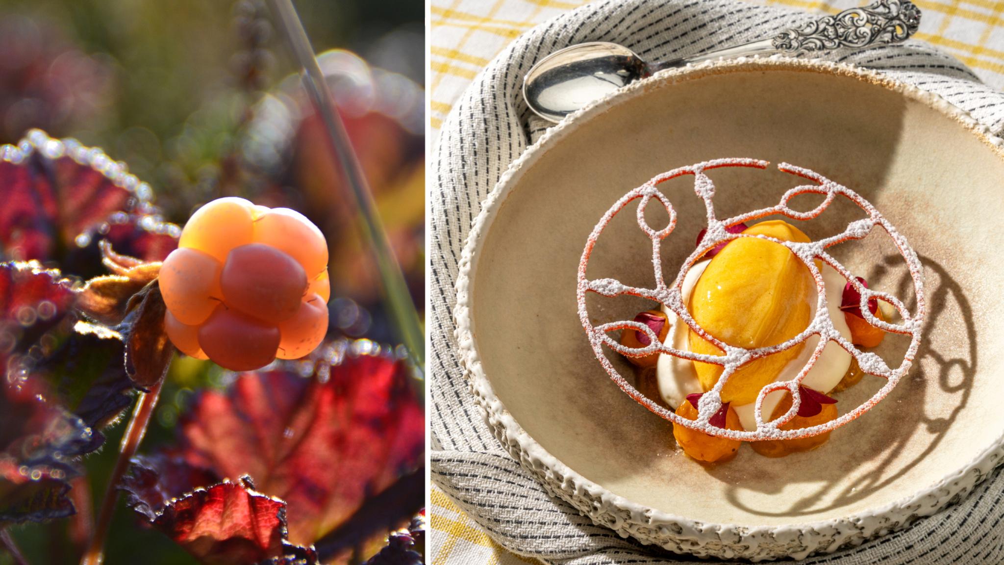 A collage with a clouberry and and a plate with cloudberry sorbet