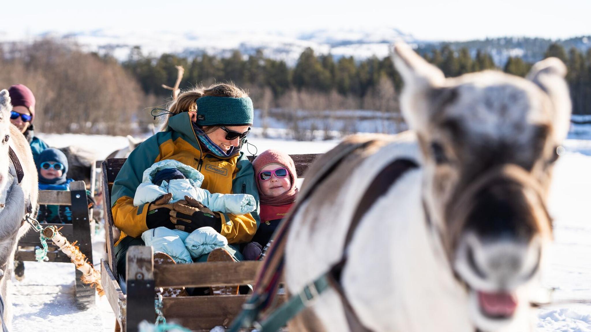 Woman with two kids reindeer sledding in beautiful winter landscape, in Alta