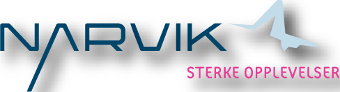 visitnarvik.com