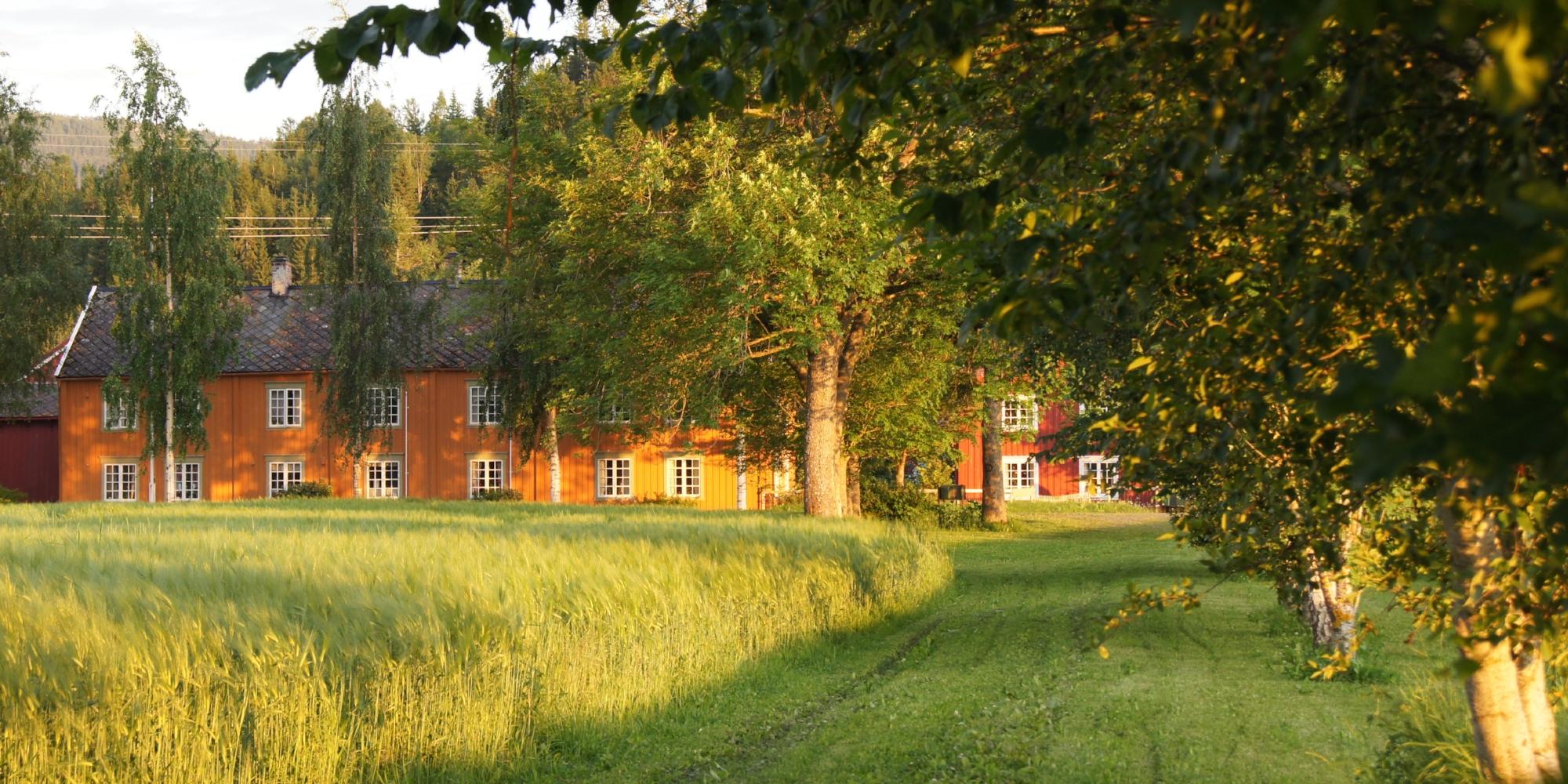 En idyllisk gård med et stort gårdshus hvor du kan overnatte med HANEN