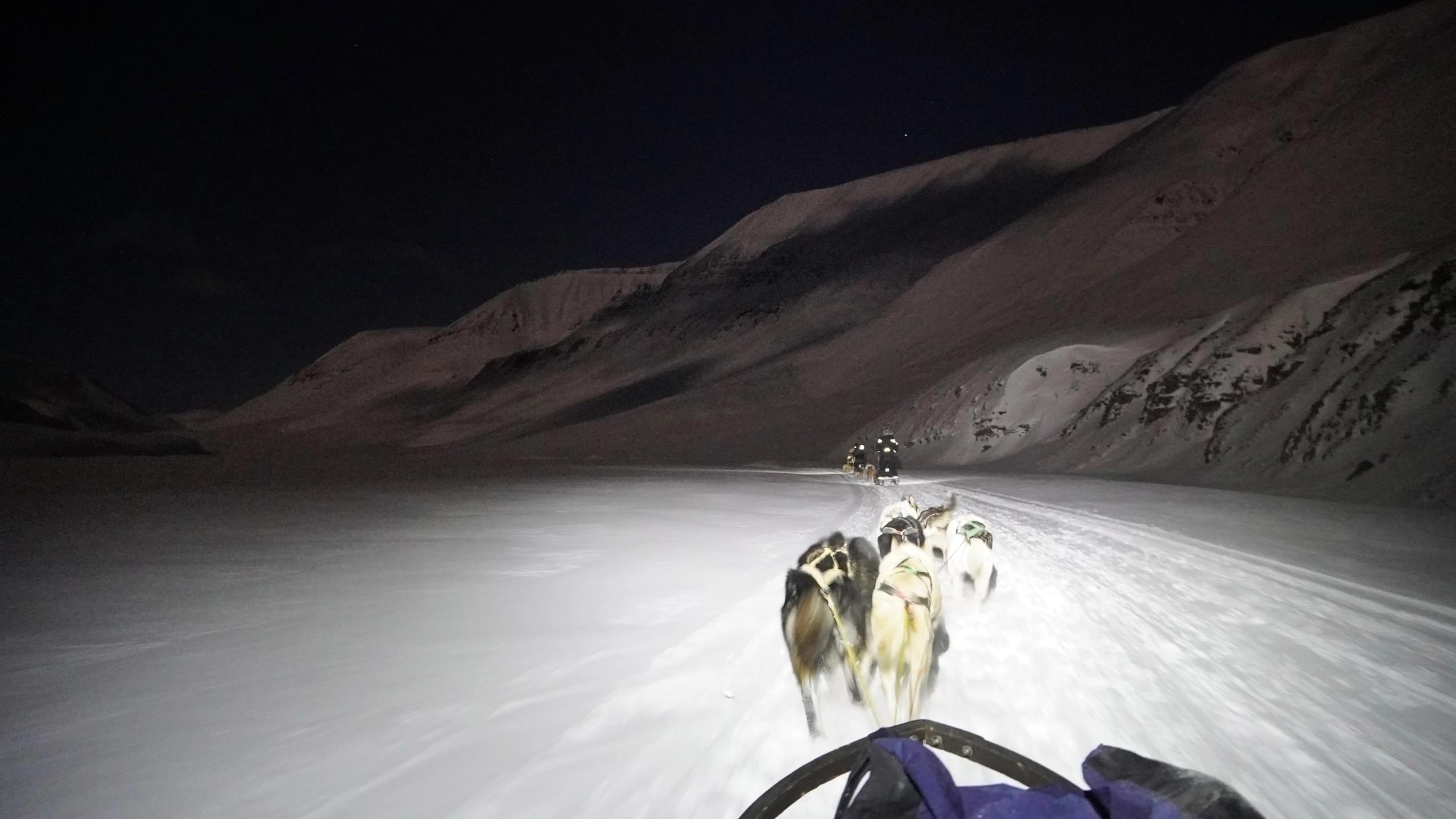 Hundekjøring mellom hvitkledde, arktiske fjell