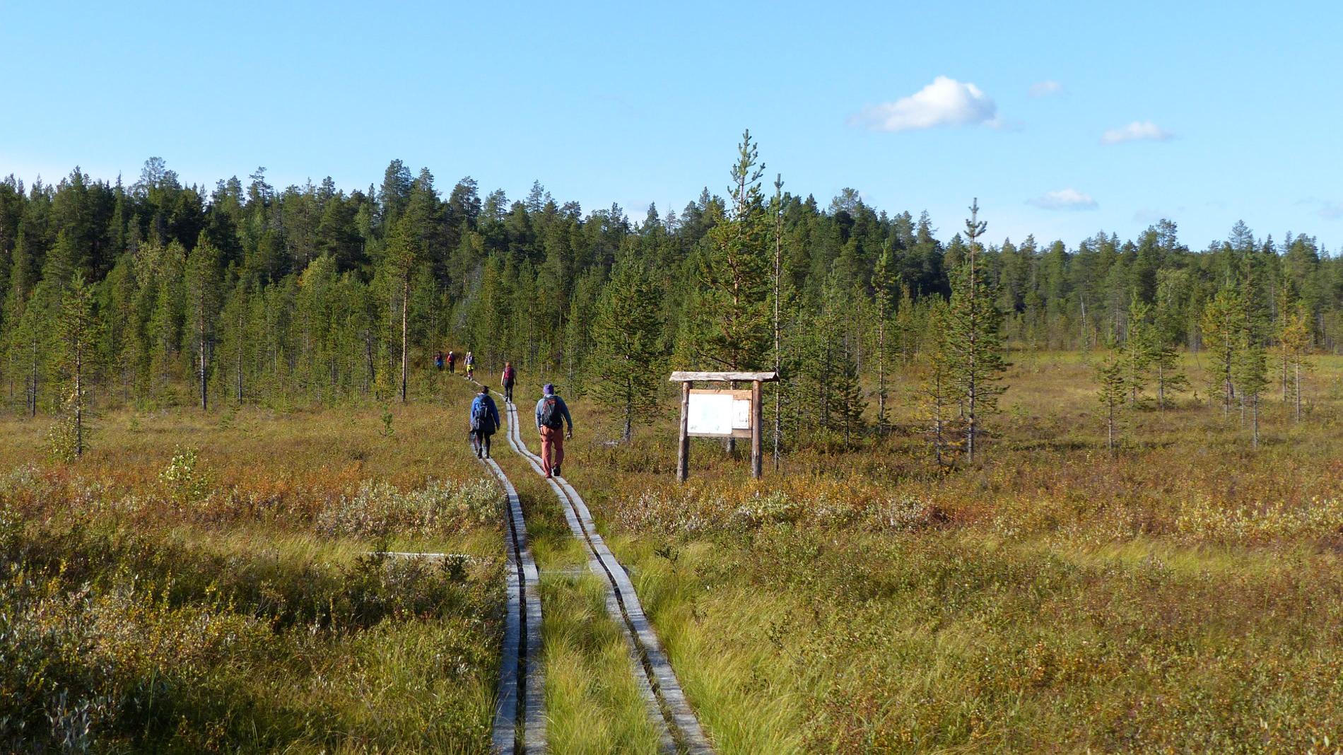 To personer vandrer i Pasvikdalen
