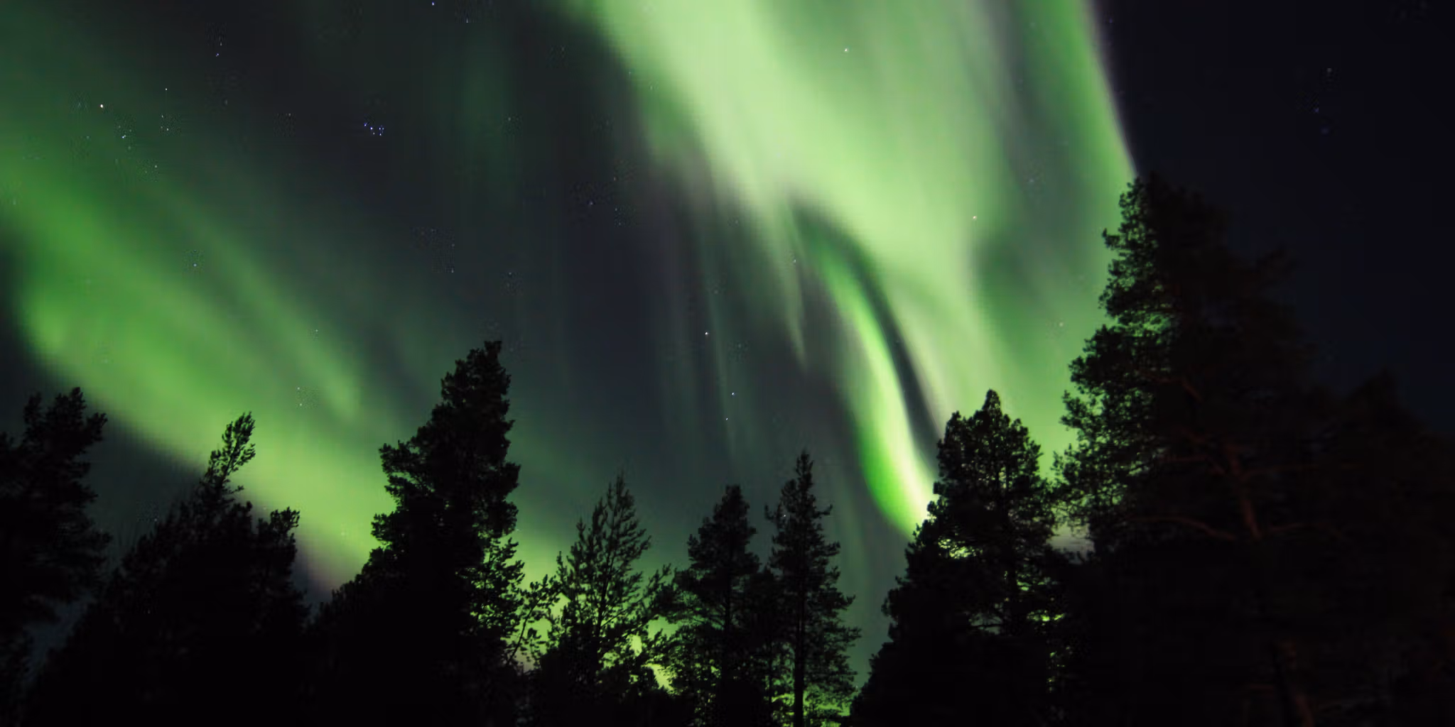 Magical Northern Light by Up Norway
