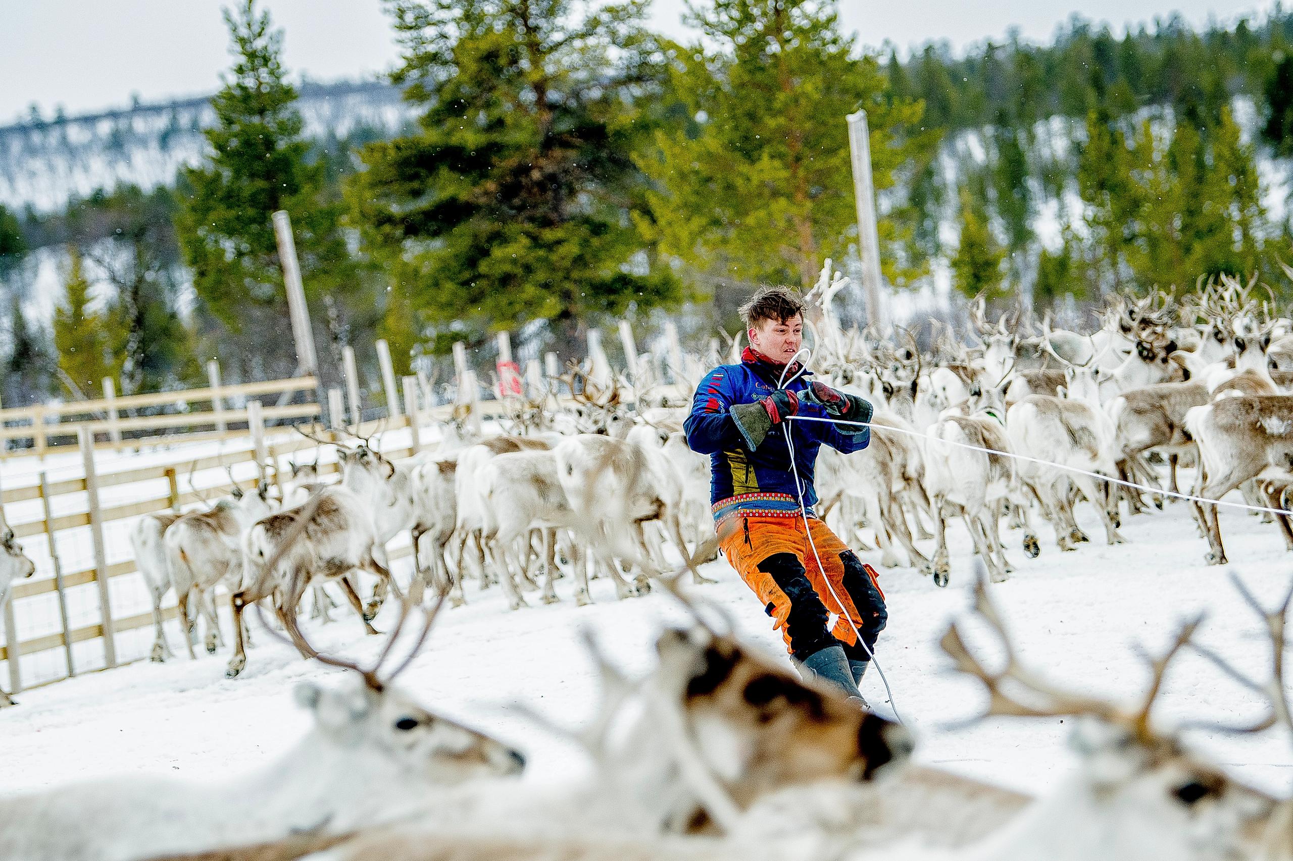 Finnmarksvidda