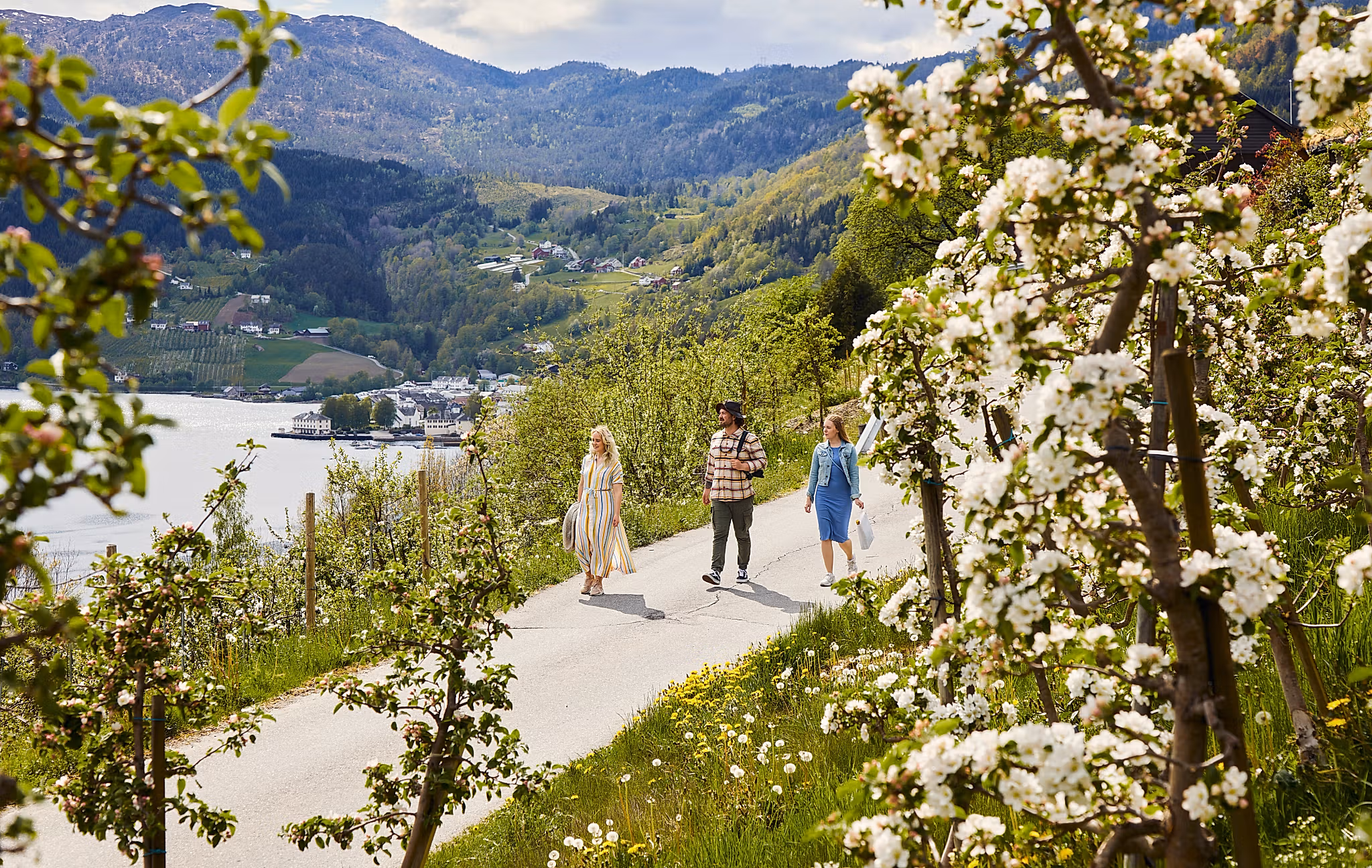 Three friends walking along the Cider-route in Hardanger