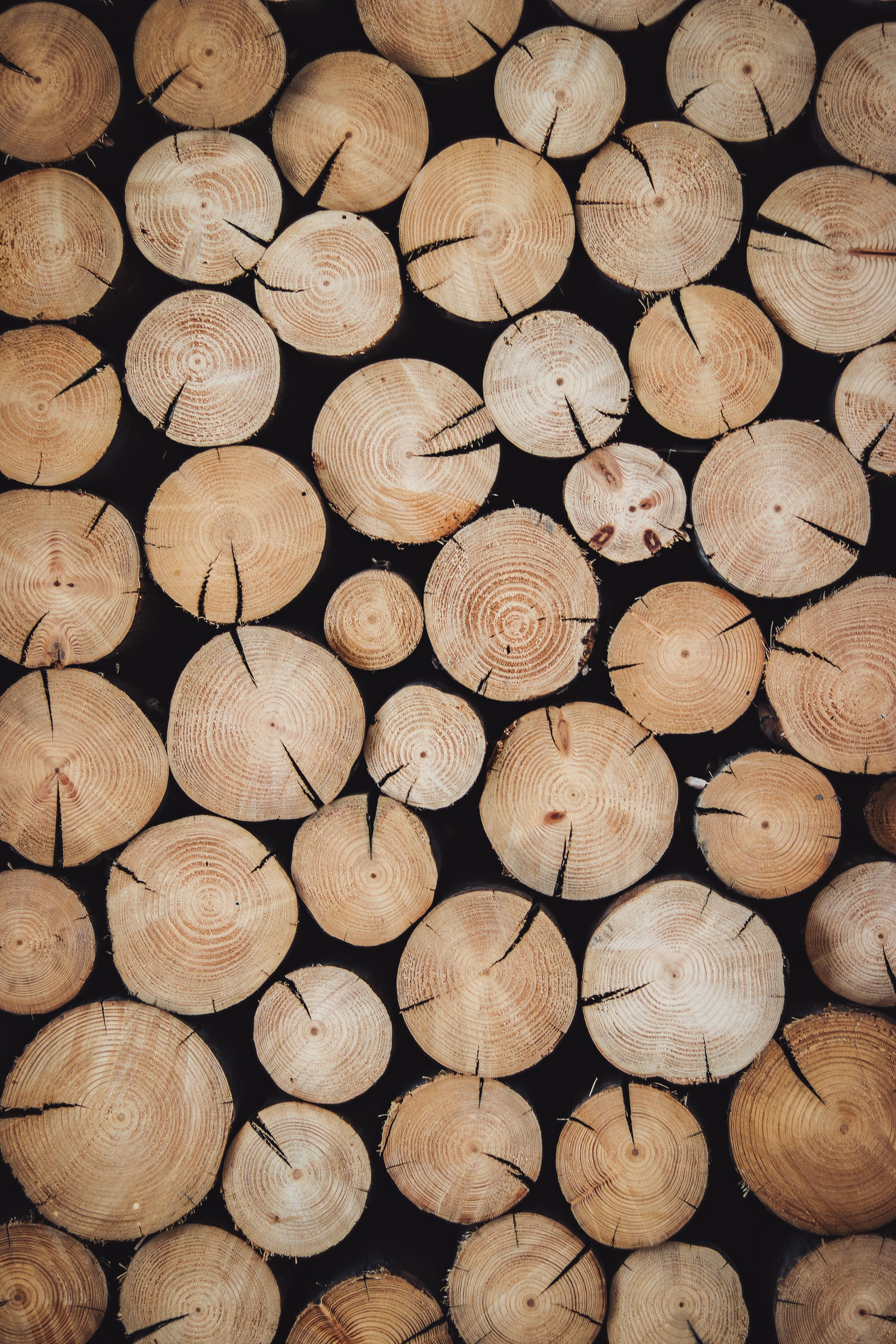 A stock of timber