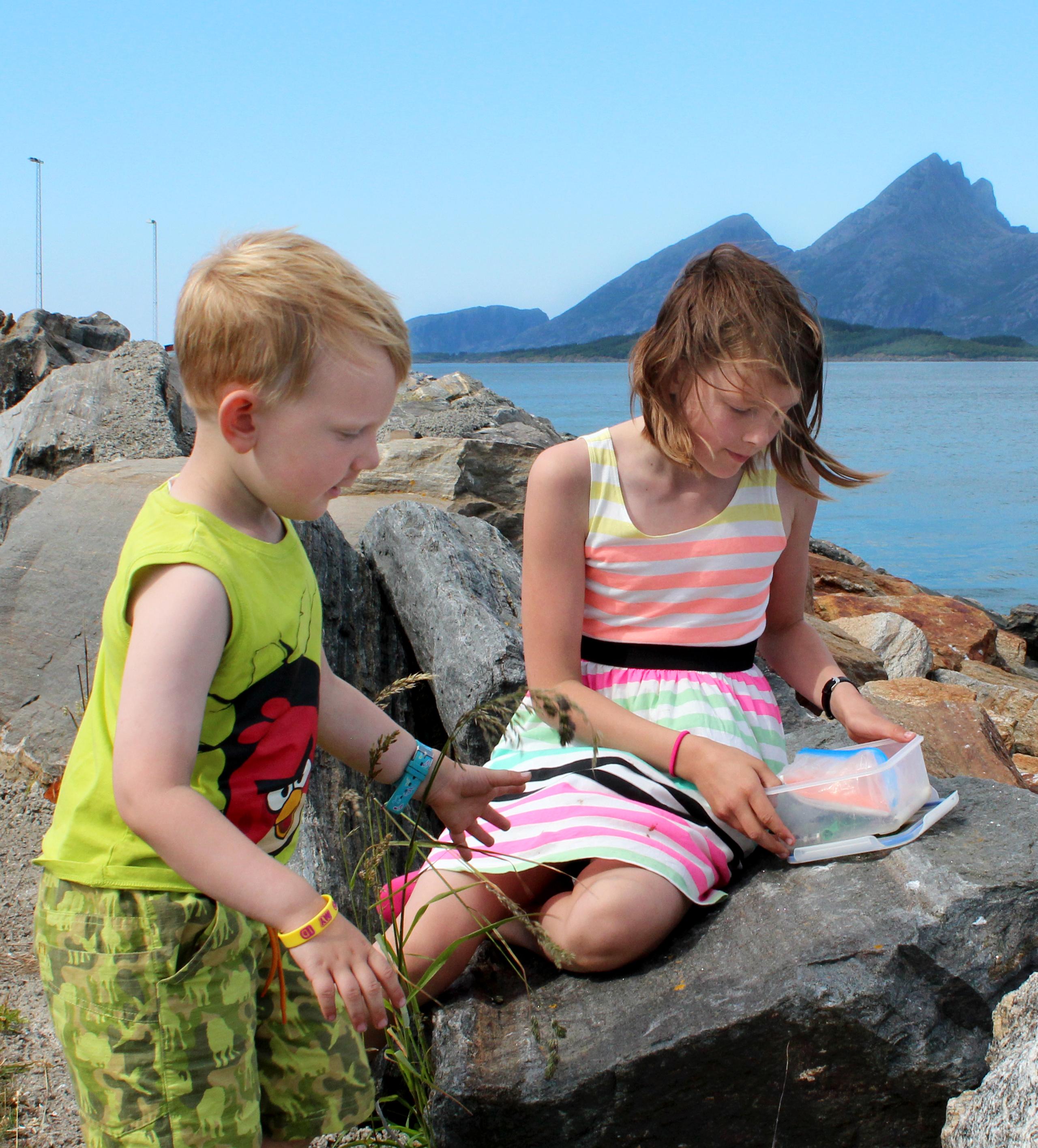 Two kids sitting on rocks next to the sea and try geocaching in Sandnessjøen in Nordland, Northern Norway