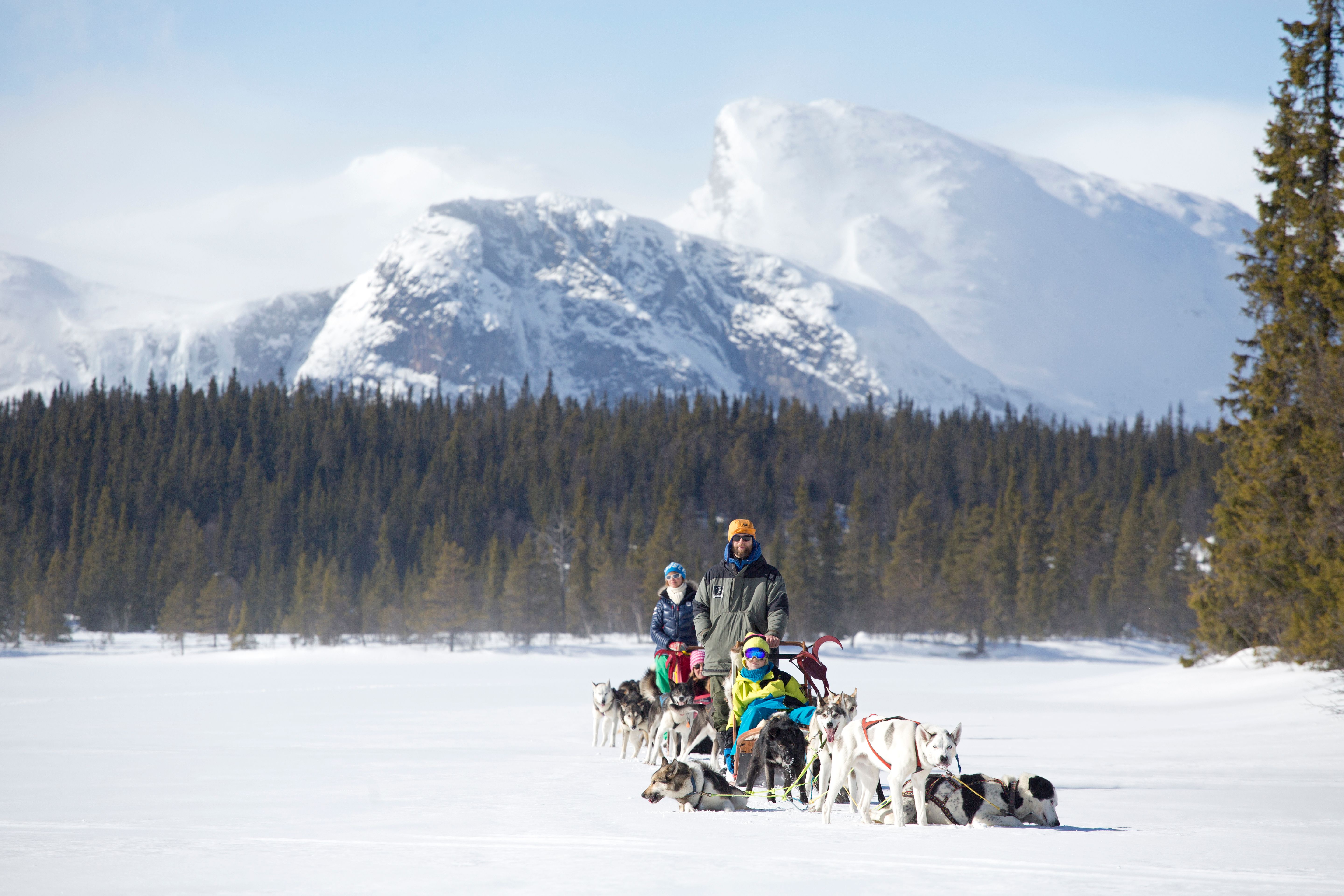 Hundspann i Hemsedal, Østlandet