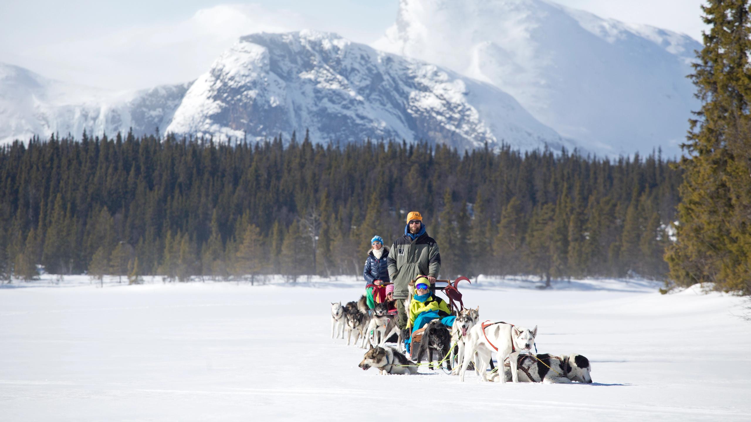 Dog sledging in Hemsedal, Eastern Norway