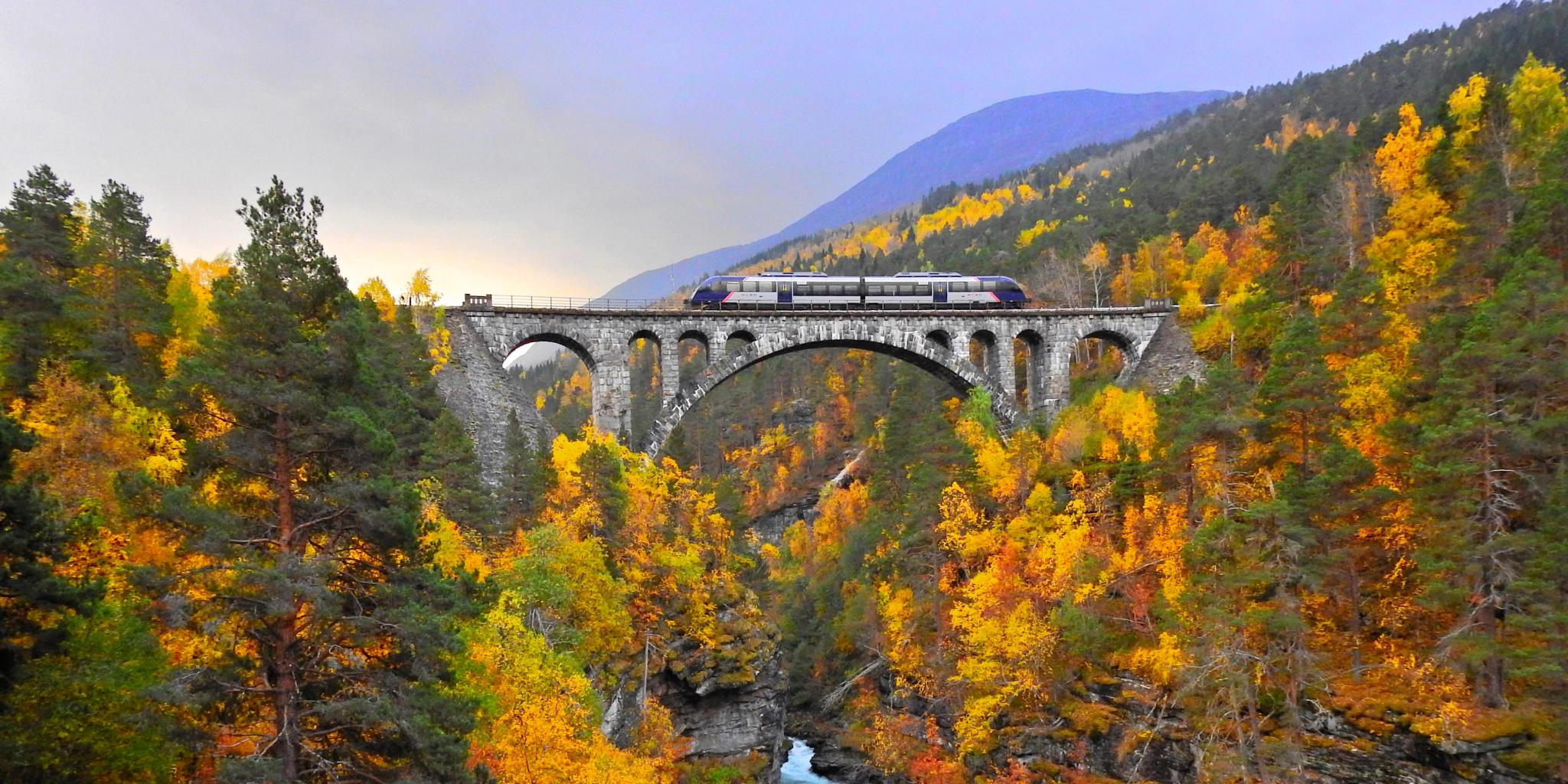 Arctic Circle Express by Up Norway