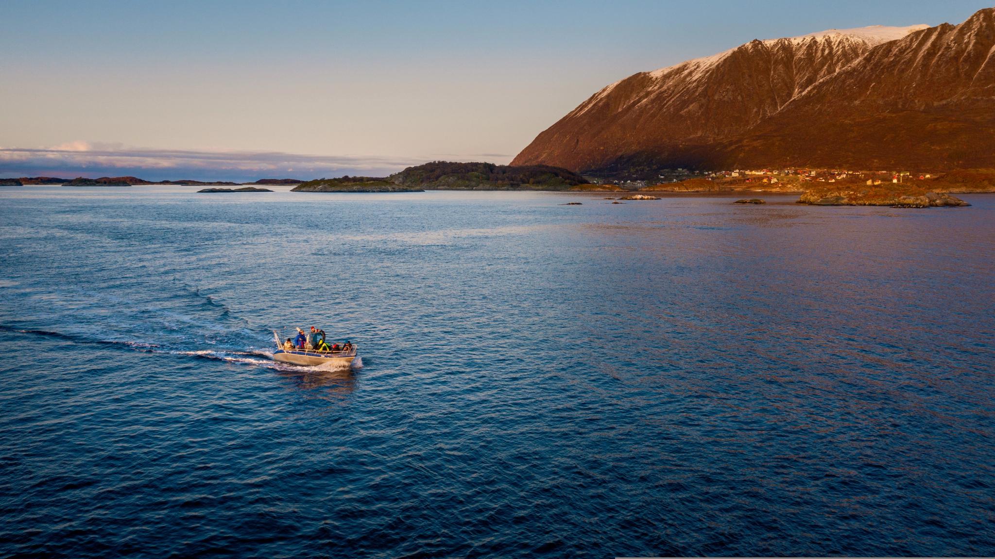 Fiskebåt i Harstad i Nord-Norge