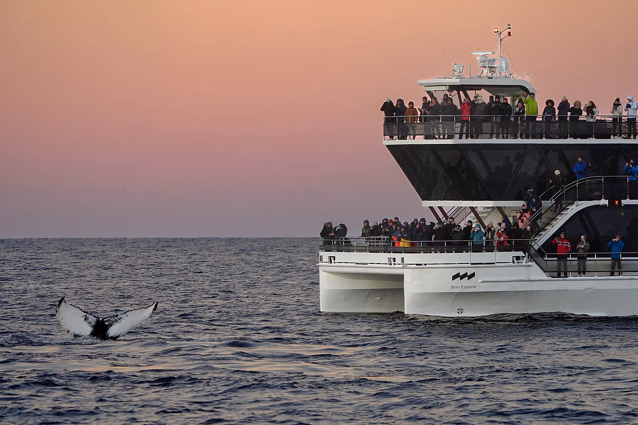 People watching a whale from the silent, electric vessel Brim Explorer