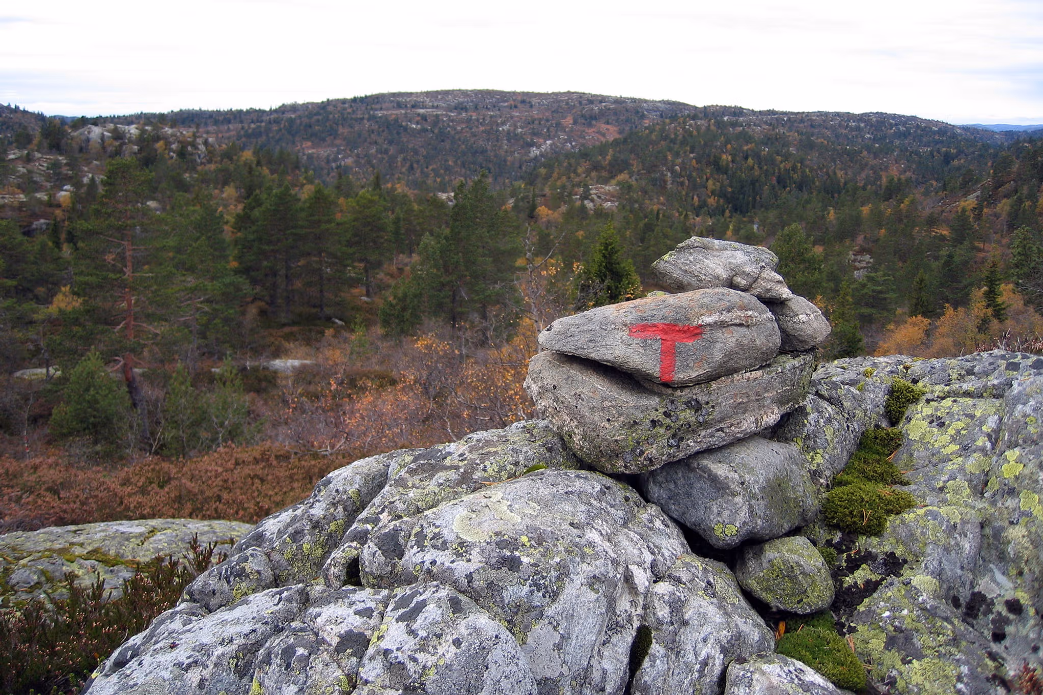 A pile of rocks in nature with a red "T" painted on the side by The Norwegian Trekking Association (DNT)