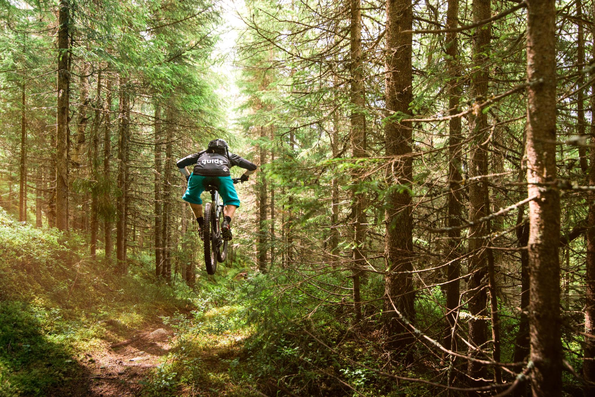 A person trail cycling in a forest in Trysil, Eastern Norway
