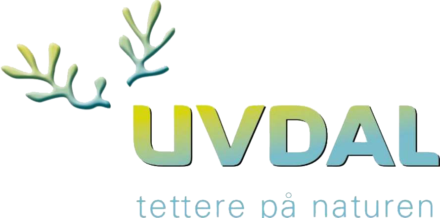 uvdal.no
