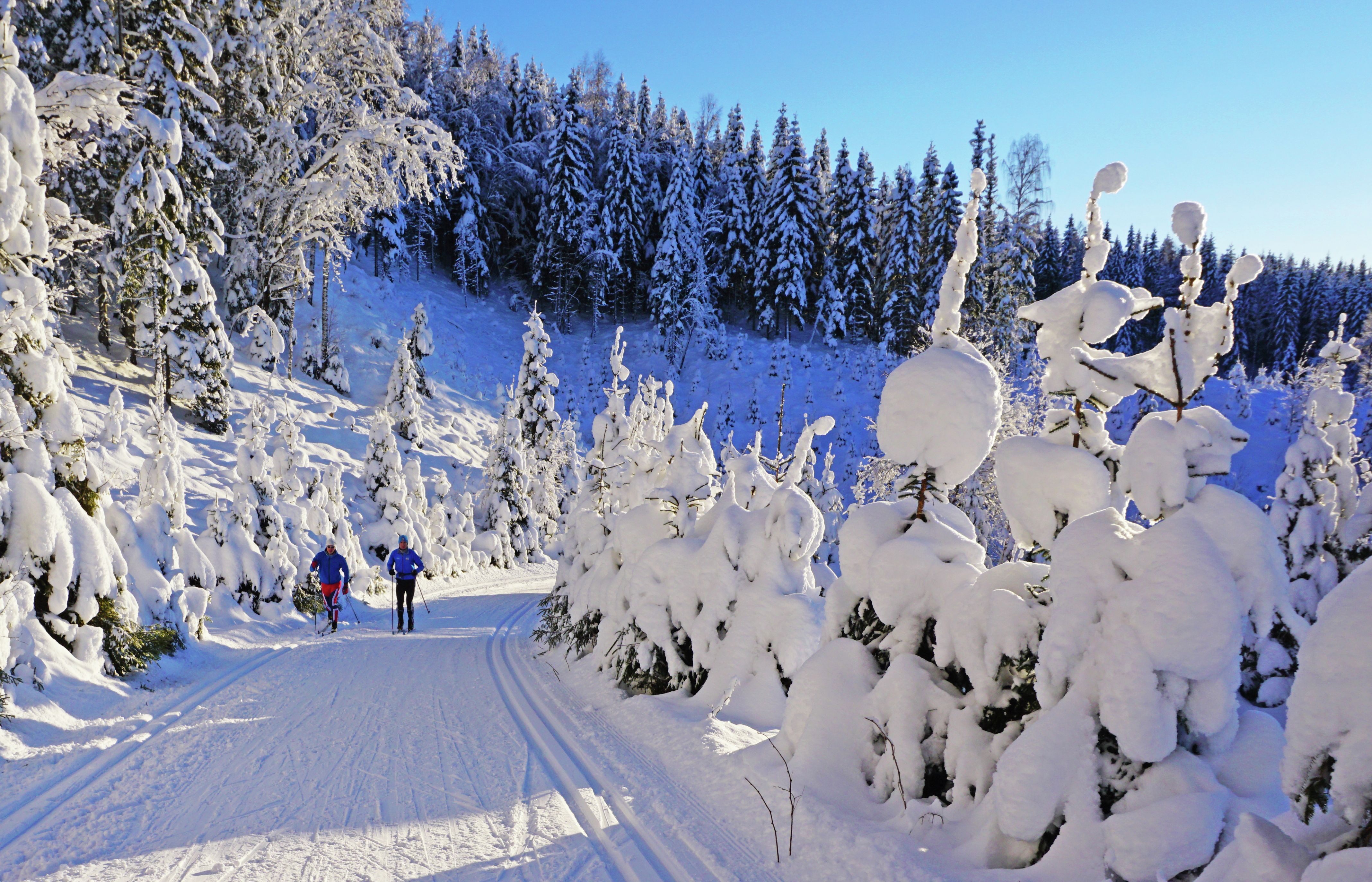 Winter wonderland - Nordmarka