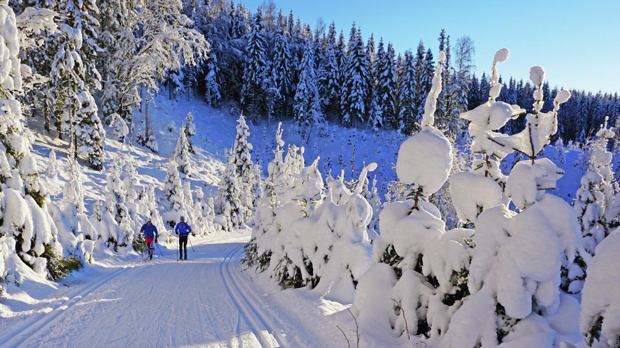 Winter wonderland - Nordmarka