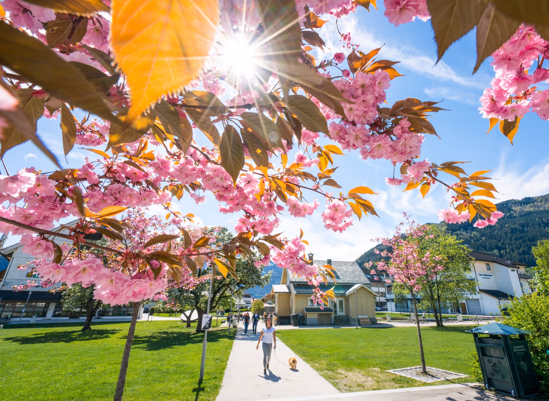 Spring in Sogndal in Vestland County, Norway
