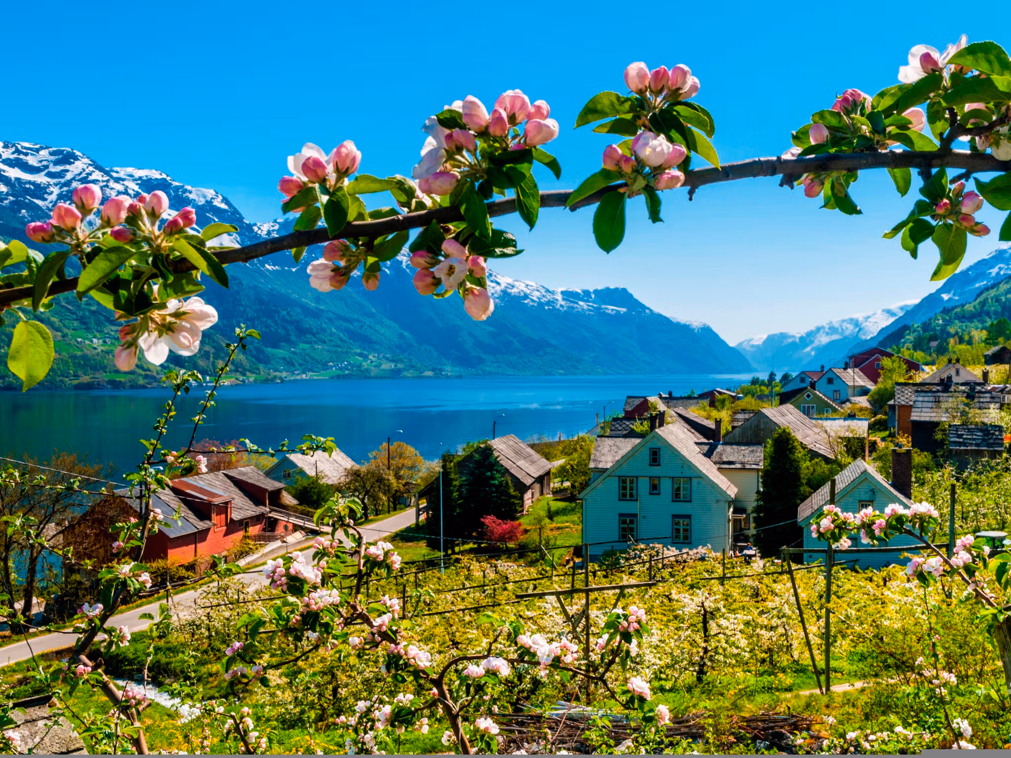 Hardangerfjord - Authentic Scandinavia
