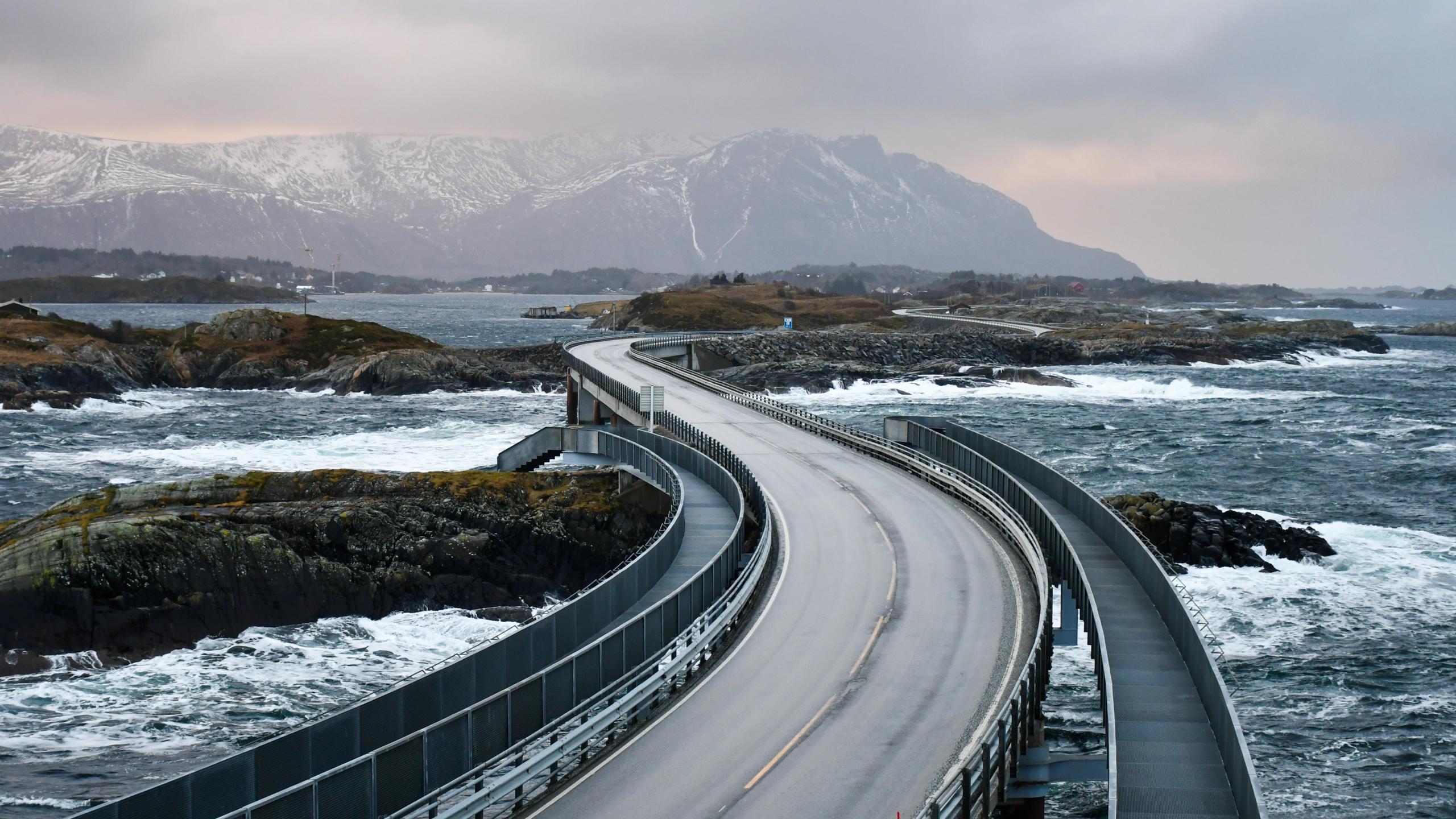 Bridges at Myrbærholmen