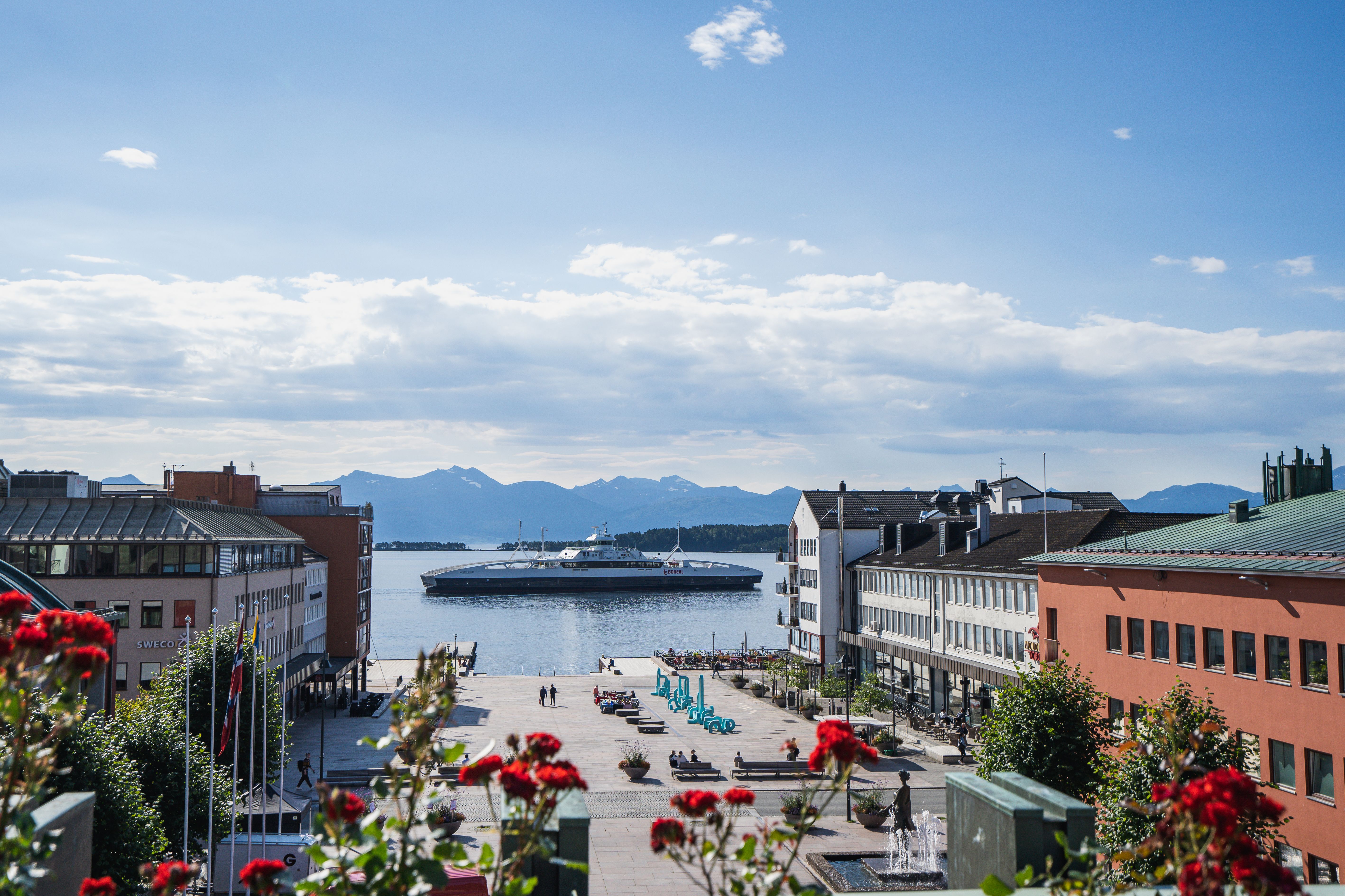 Molde city centre with roses in the foreground and the ocean in the background