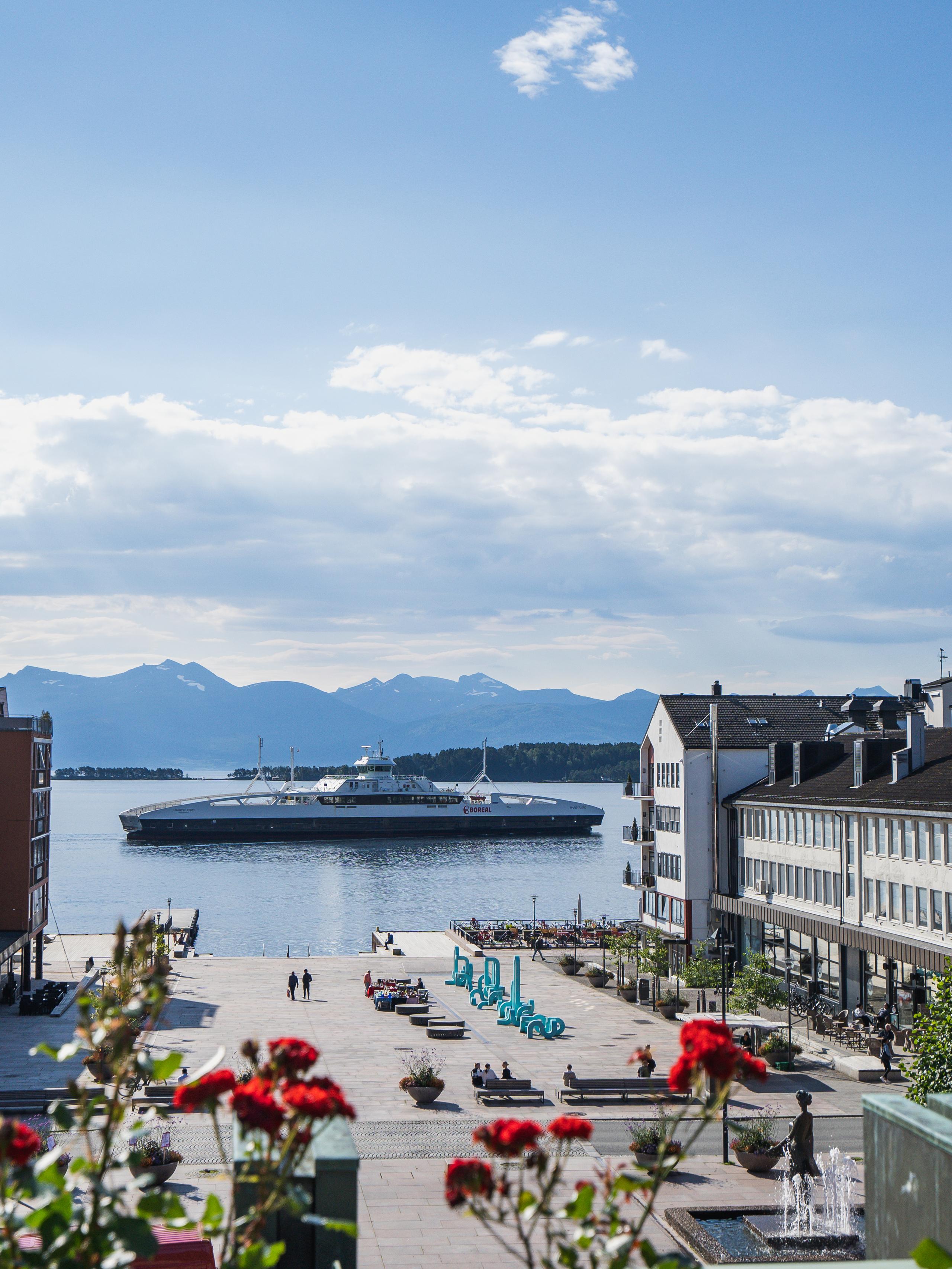Molde city centre with roses in the foreground and the ocean in the background