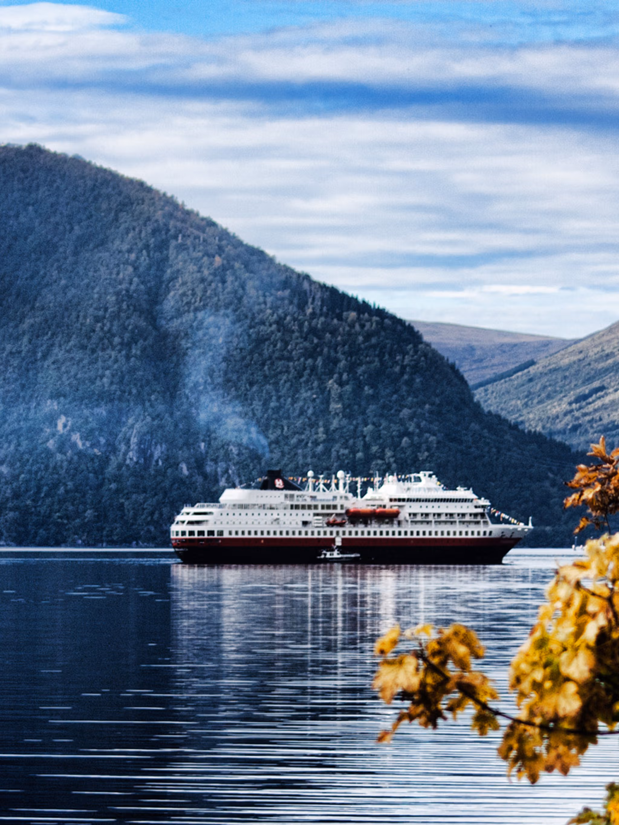 Autumn leaves and the hurtigruten steamer in the fjord