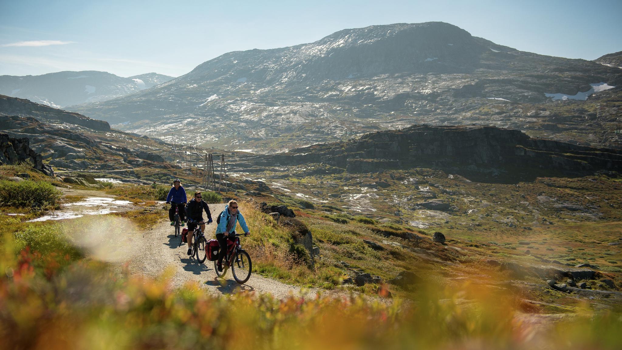 Varios ciclistas recorren la ruta Rallarvegen, en la Noruega de los fiordos.