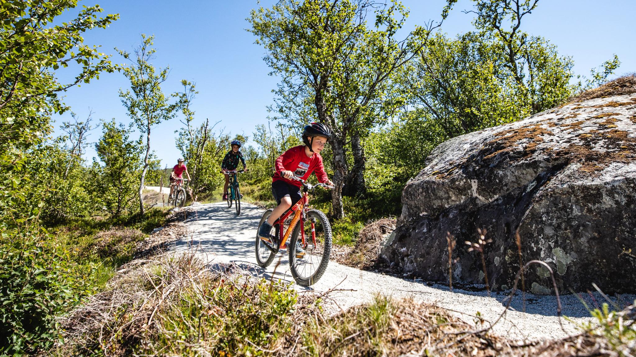 Gente montando en bicicleta de montaña en Hallingdal, en el Este de Noruega.