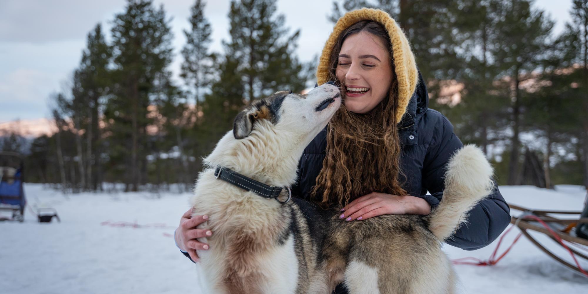 En kvinne koser med en sledehund på Geilo om vinteren.