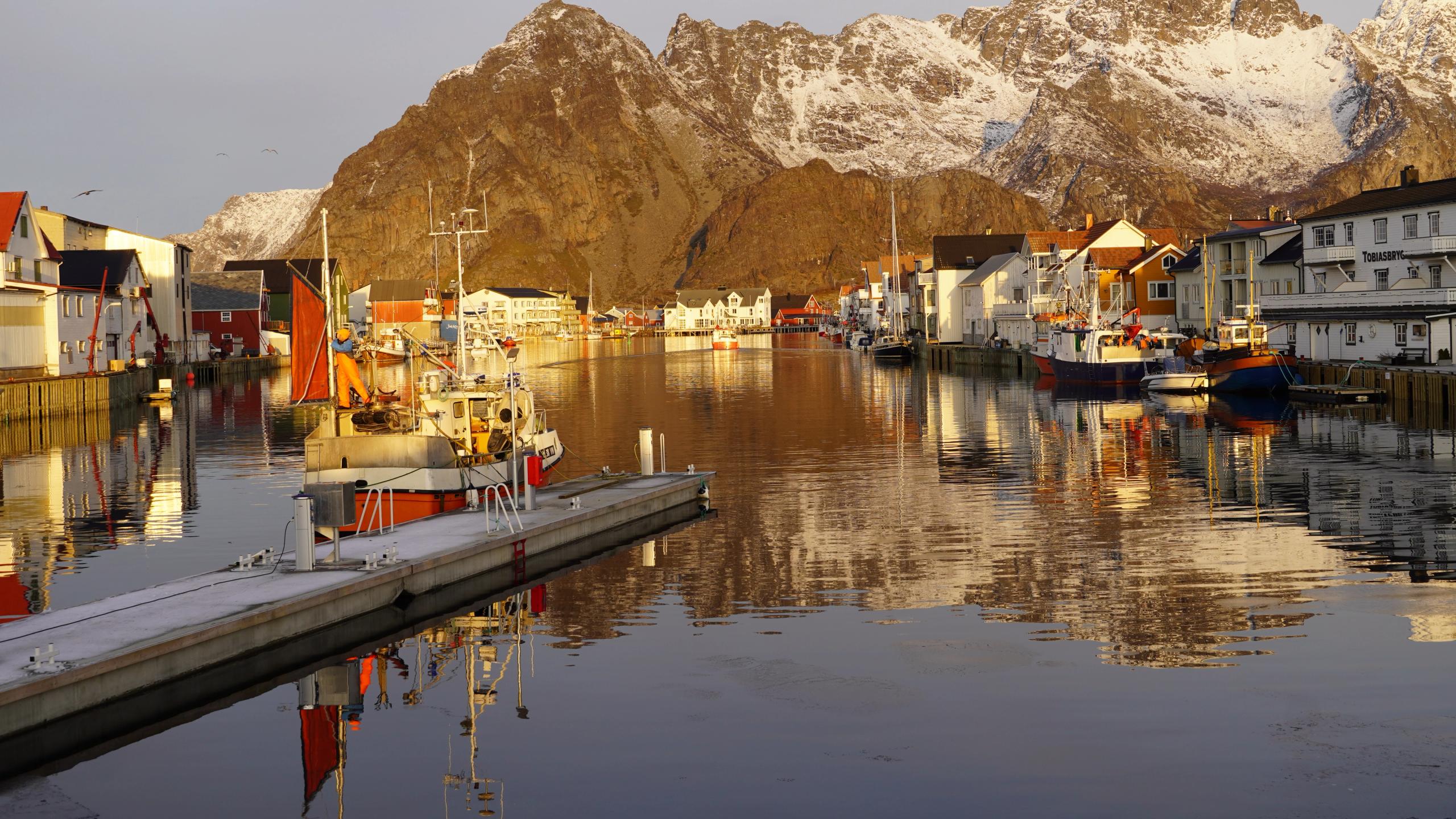 Henningsvær in Lofoten, during skrei season