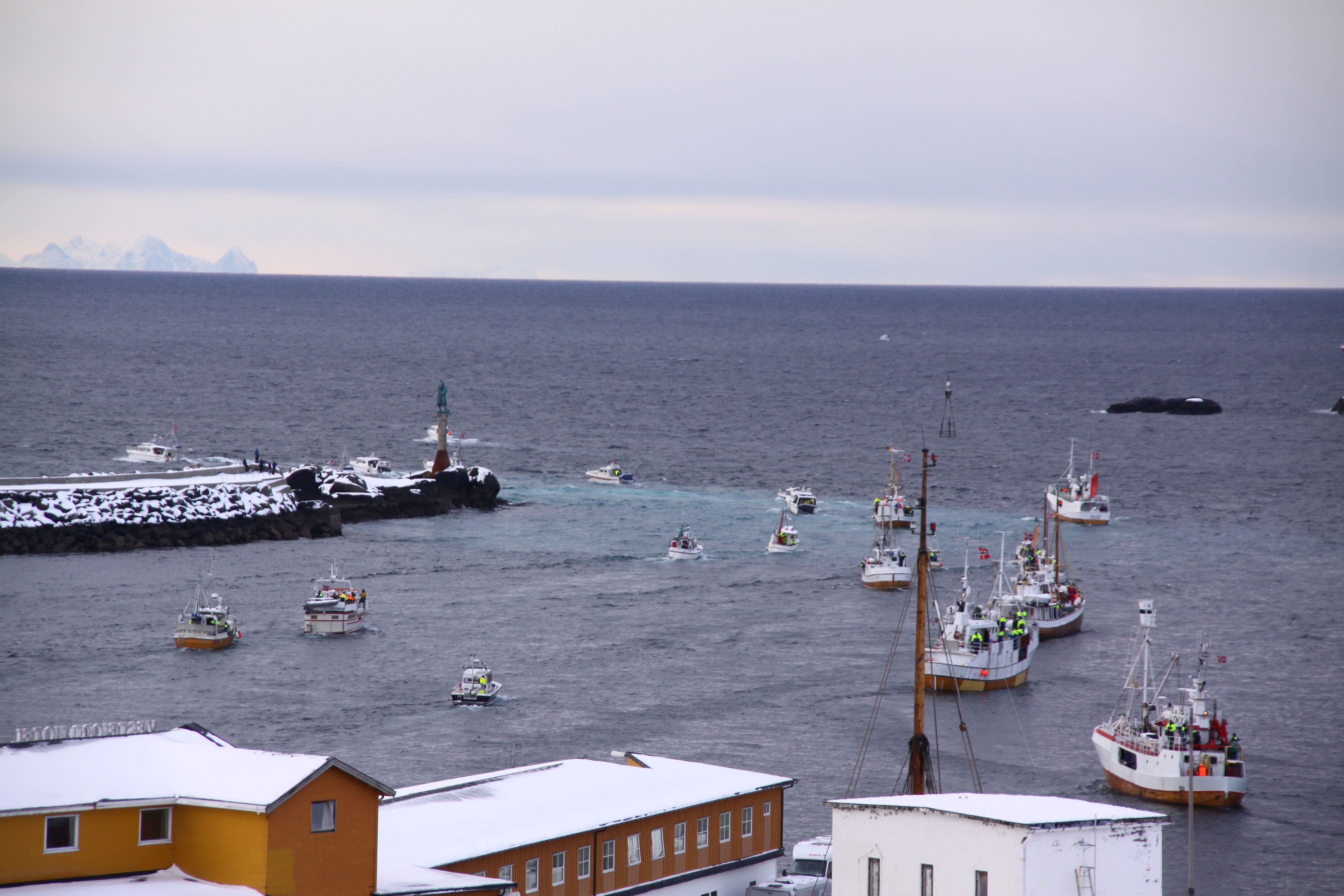 Fishing boats participating in The world cod fishing championship in Lofoten, Northern Norway