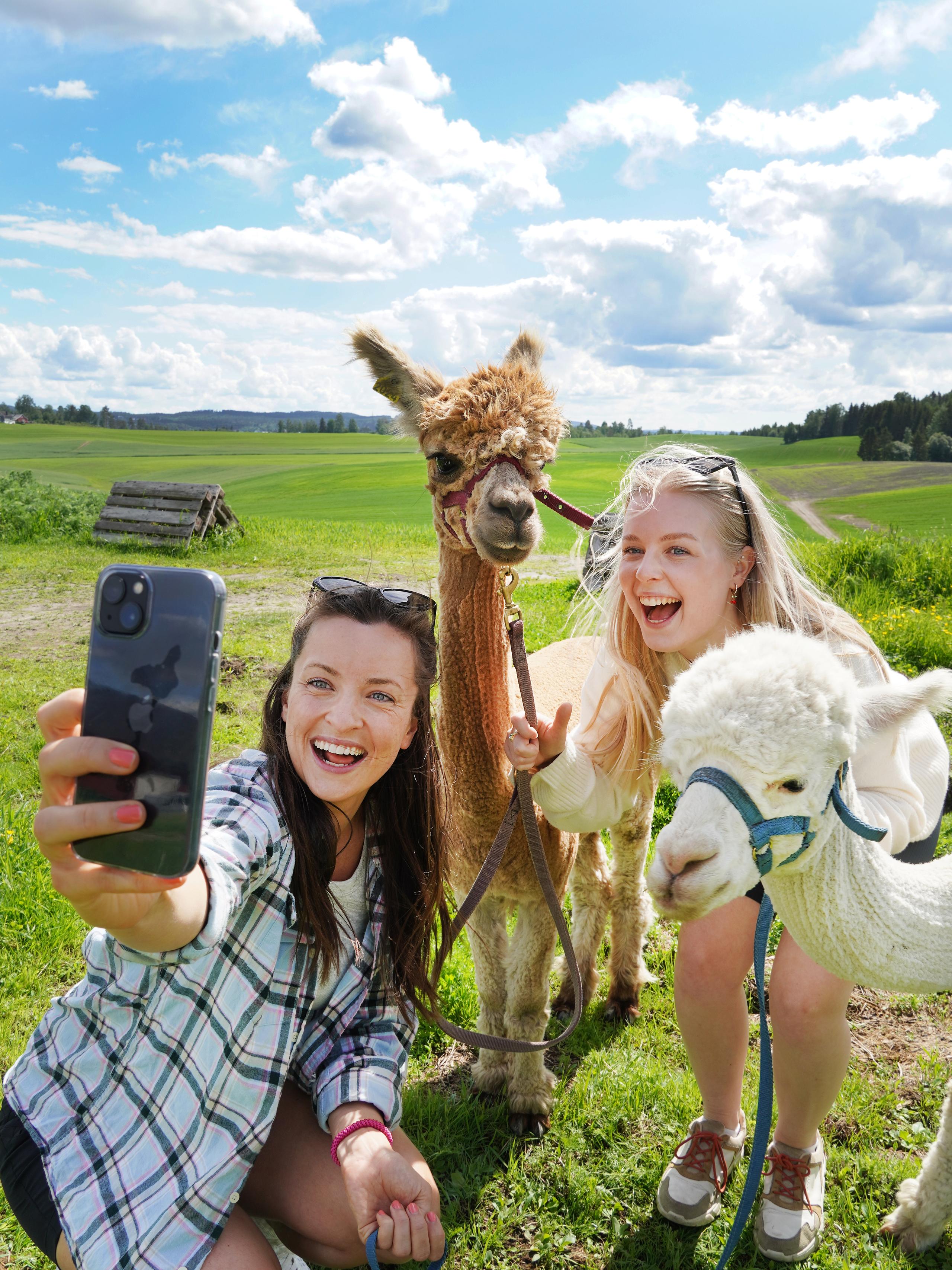 To jenter som tar selfie med alpakkaer i Norge