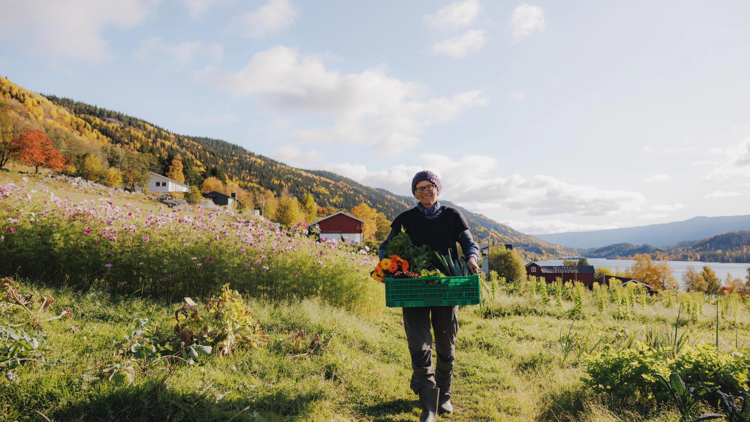 Farmer carrying produce at Nerol farm in Hallingdal