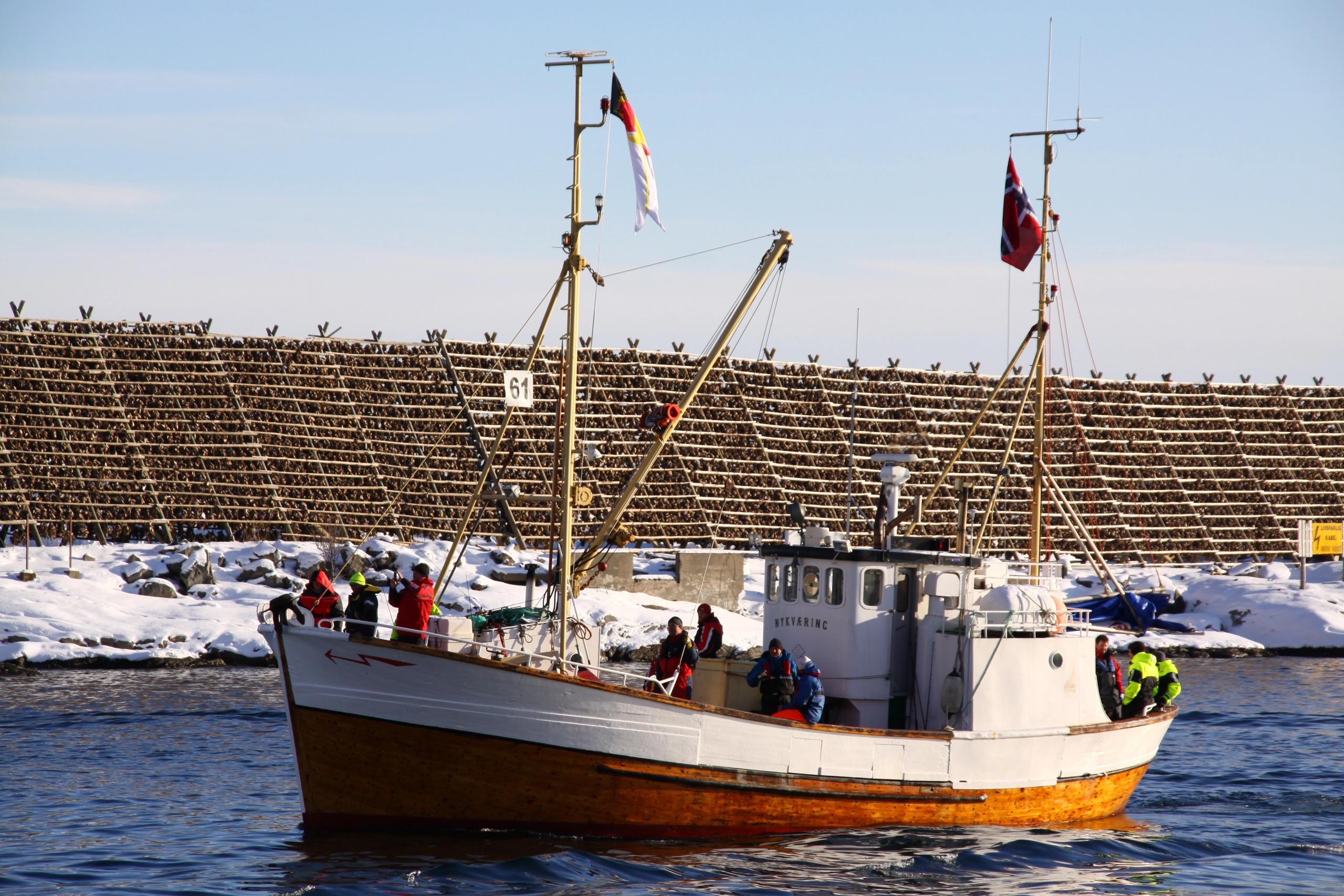 A fishing boat participating in The world cod fishing championship in Lofoten, Northern Norway