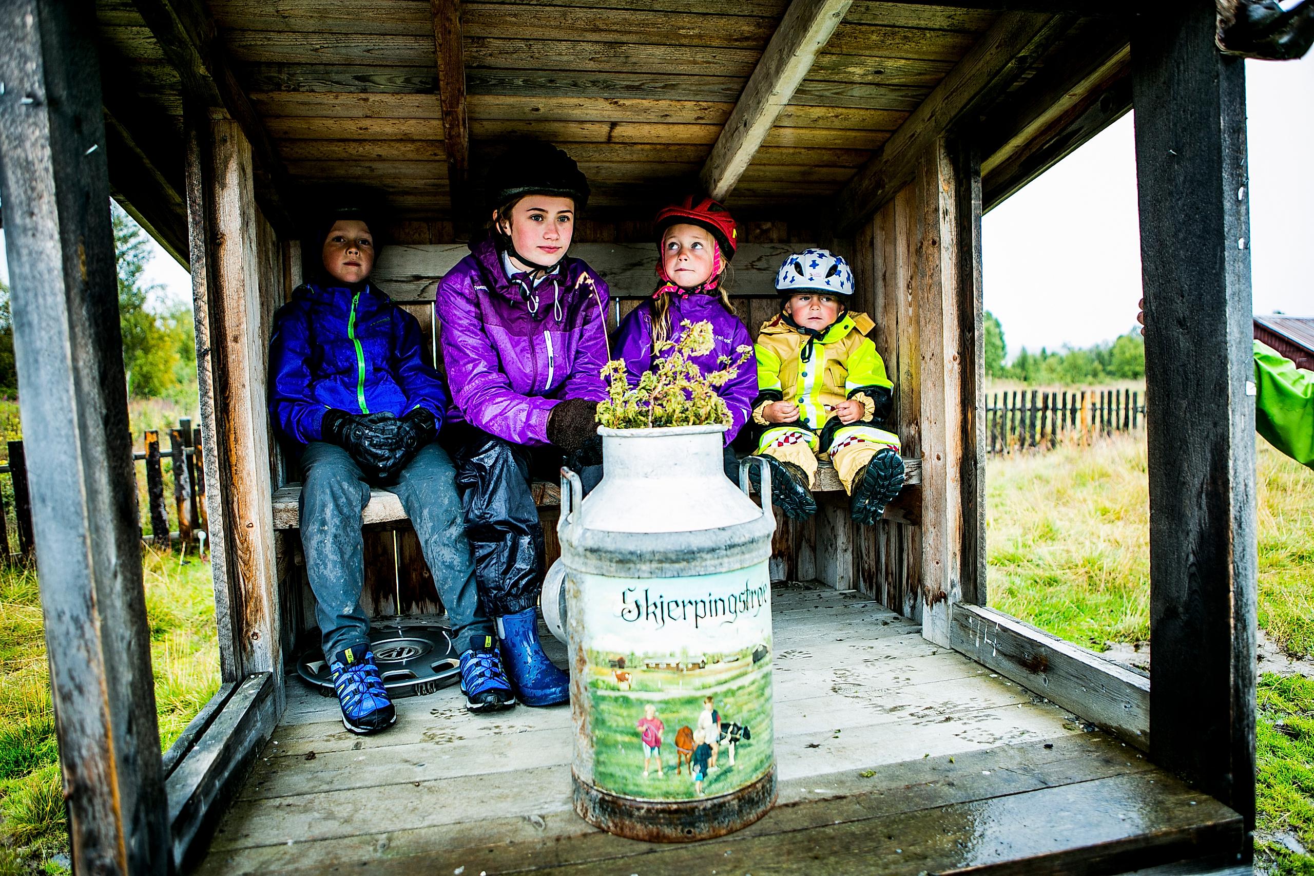 Fire barn med sykkelhjelm sitter i en melkerampe på Mjølkevegen i Valdres på Østlandet