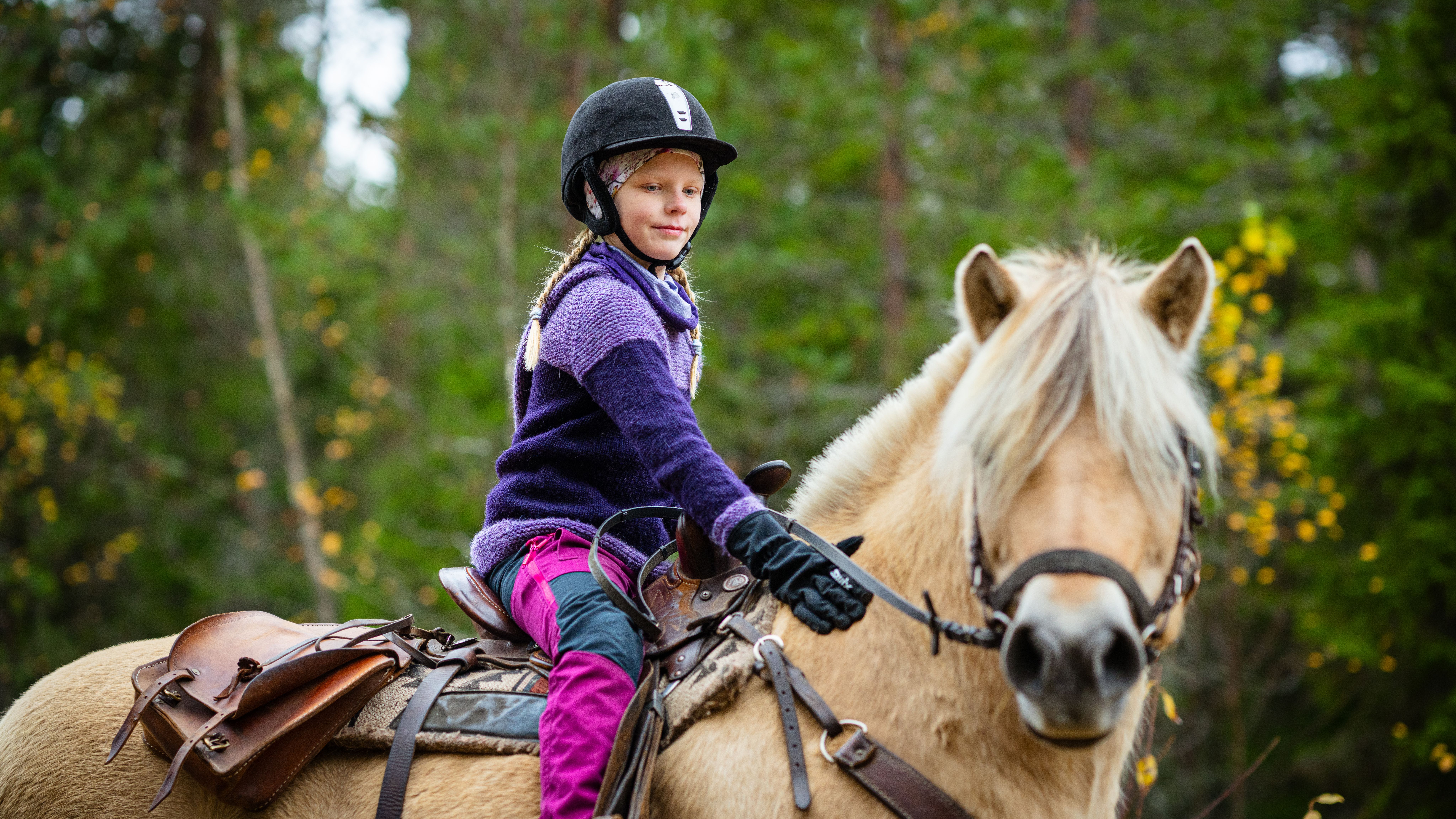 A girl riding a Norwegian fjord horse.